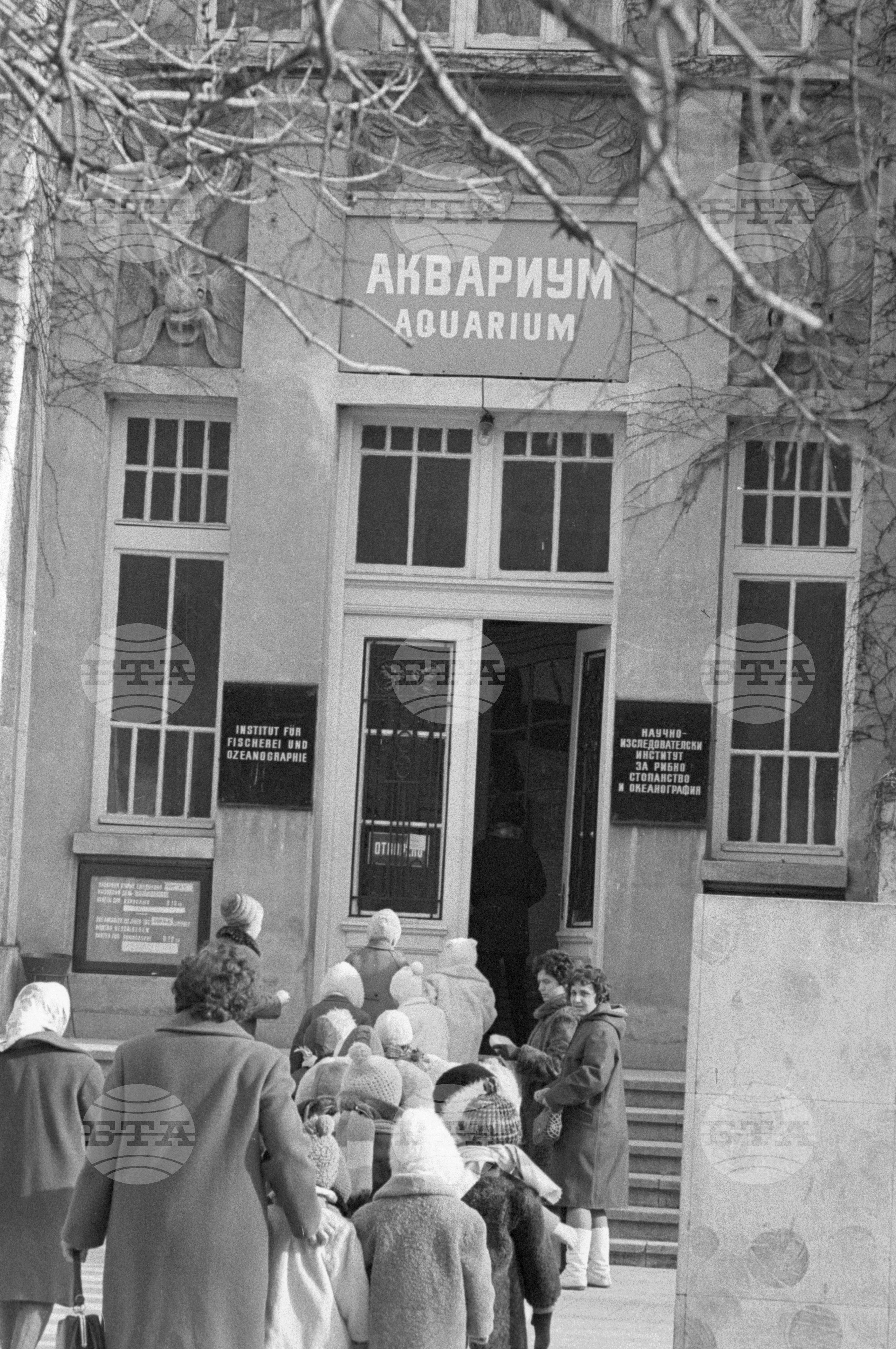 На посещение в Аквариума - Варна