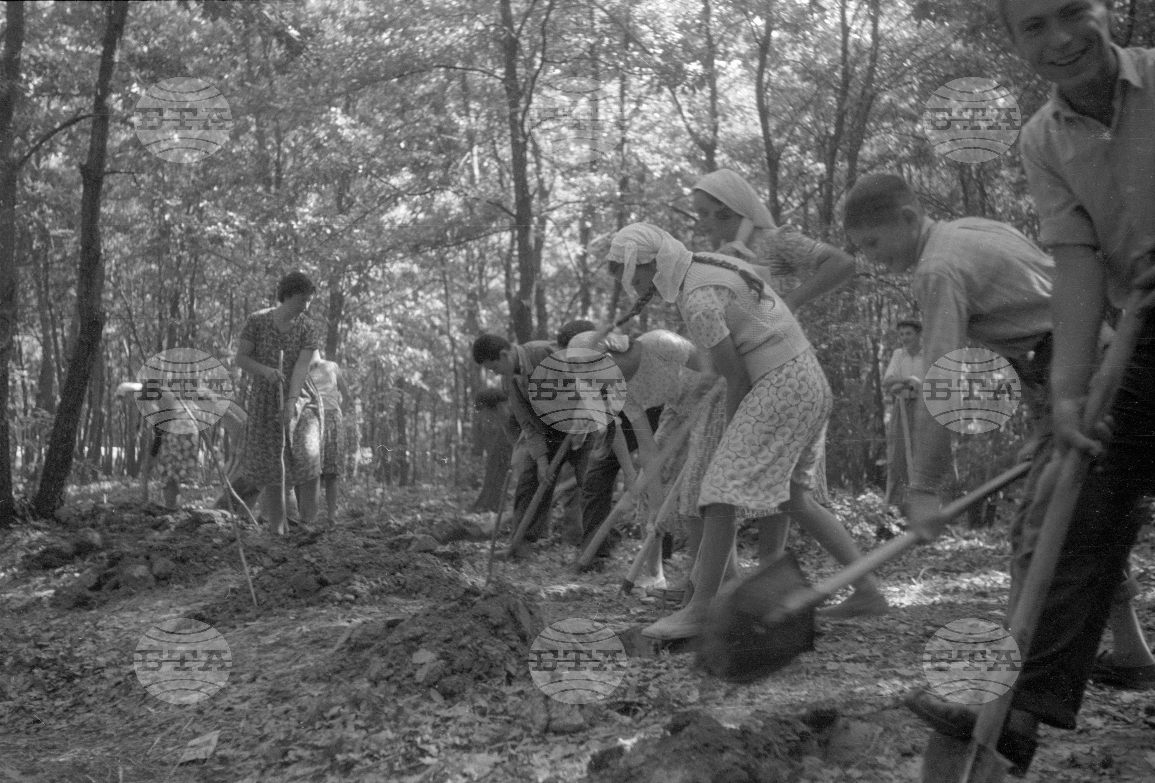 Трудово-кооперативно земеделски стопанства (ТКЗС), Русенски окръг - 1963