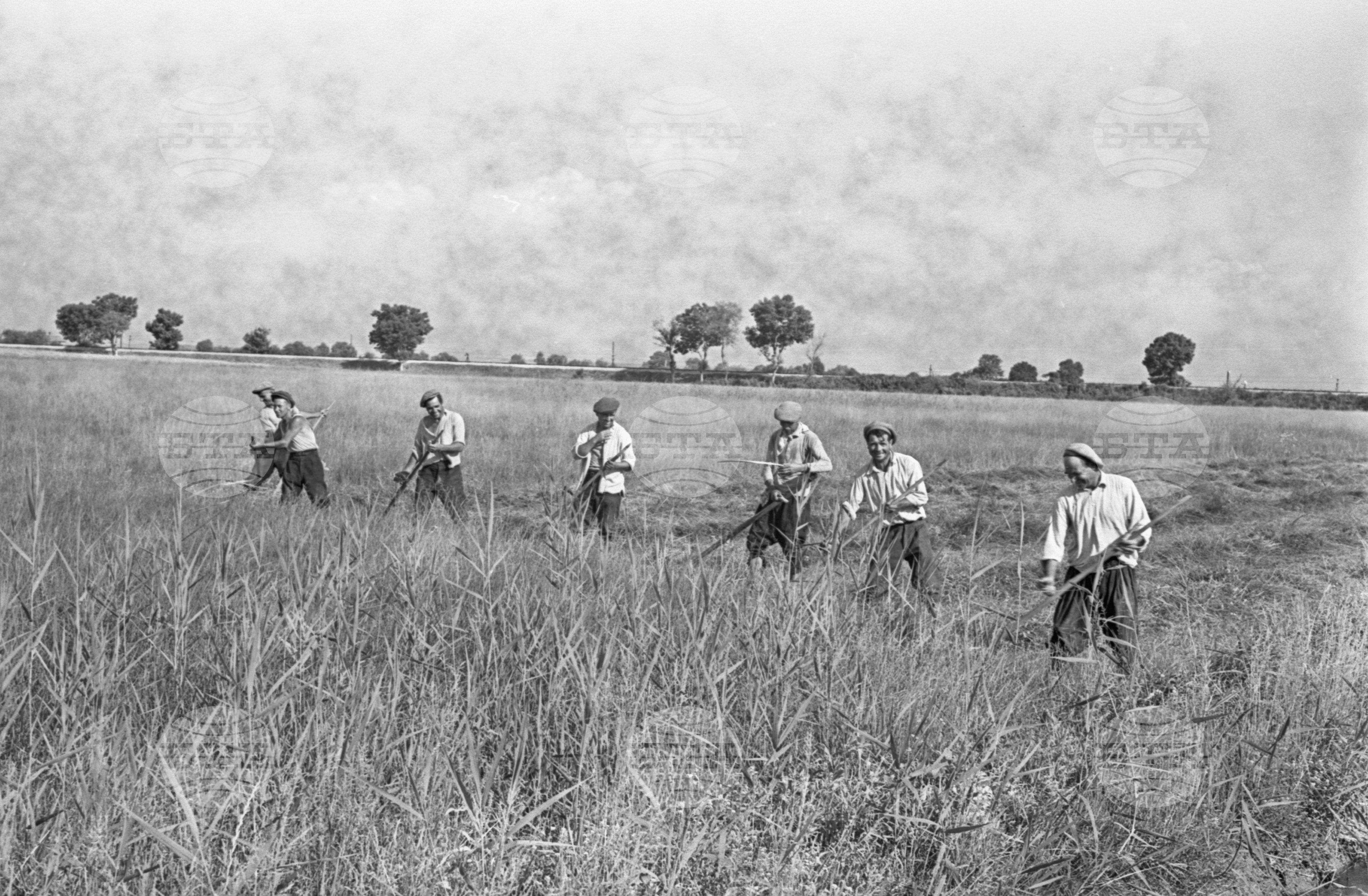 село Маноле, втора Пловдивска околия