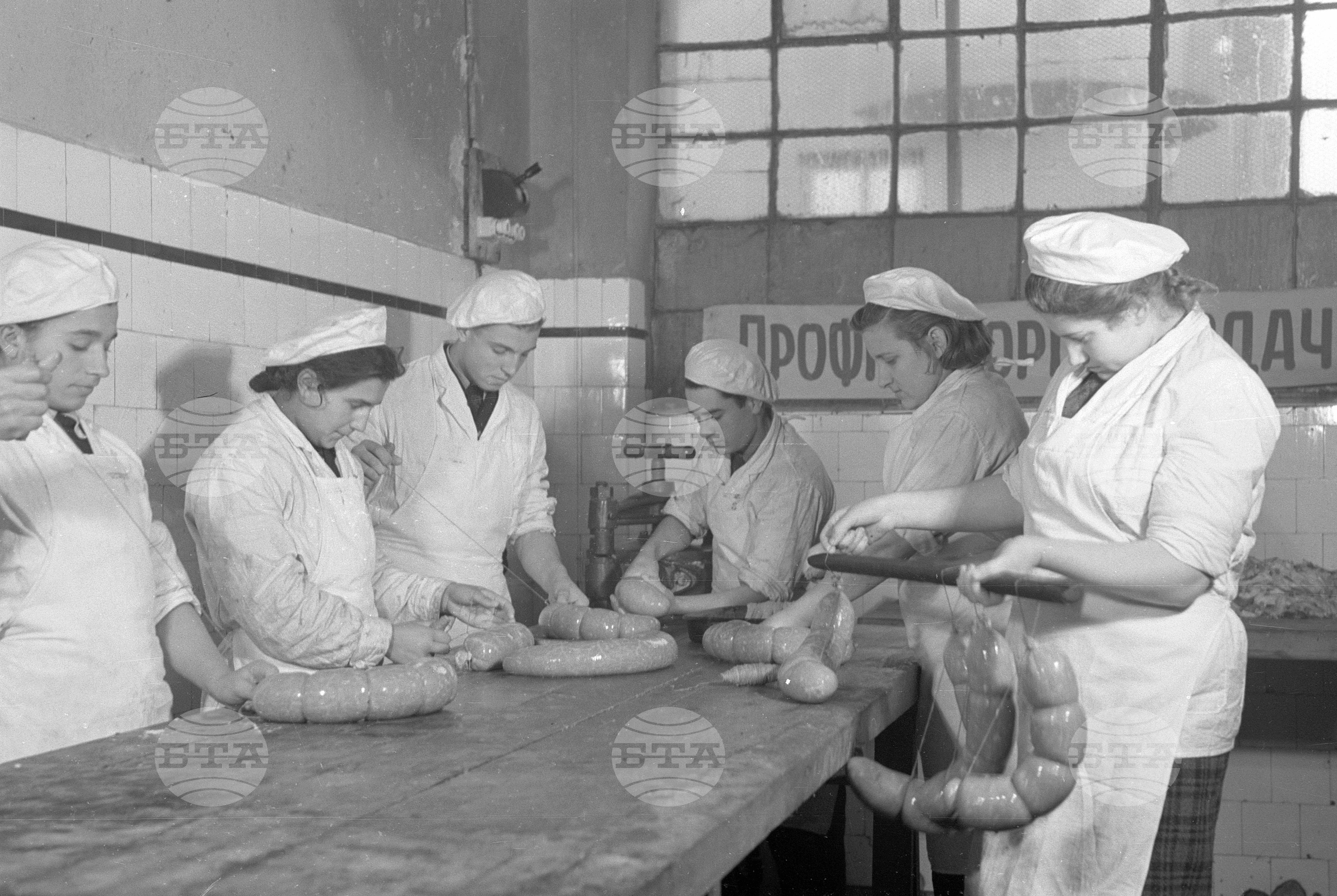 Техникум по месопреработване в София - 1953 година