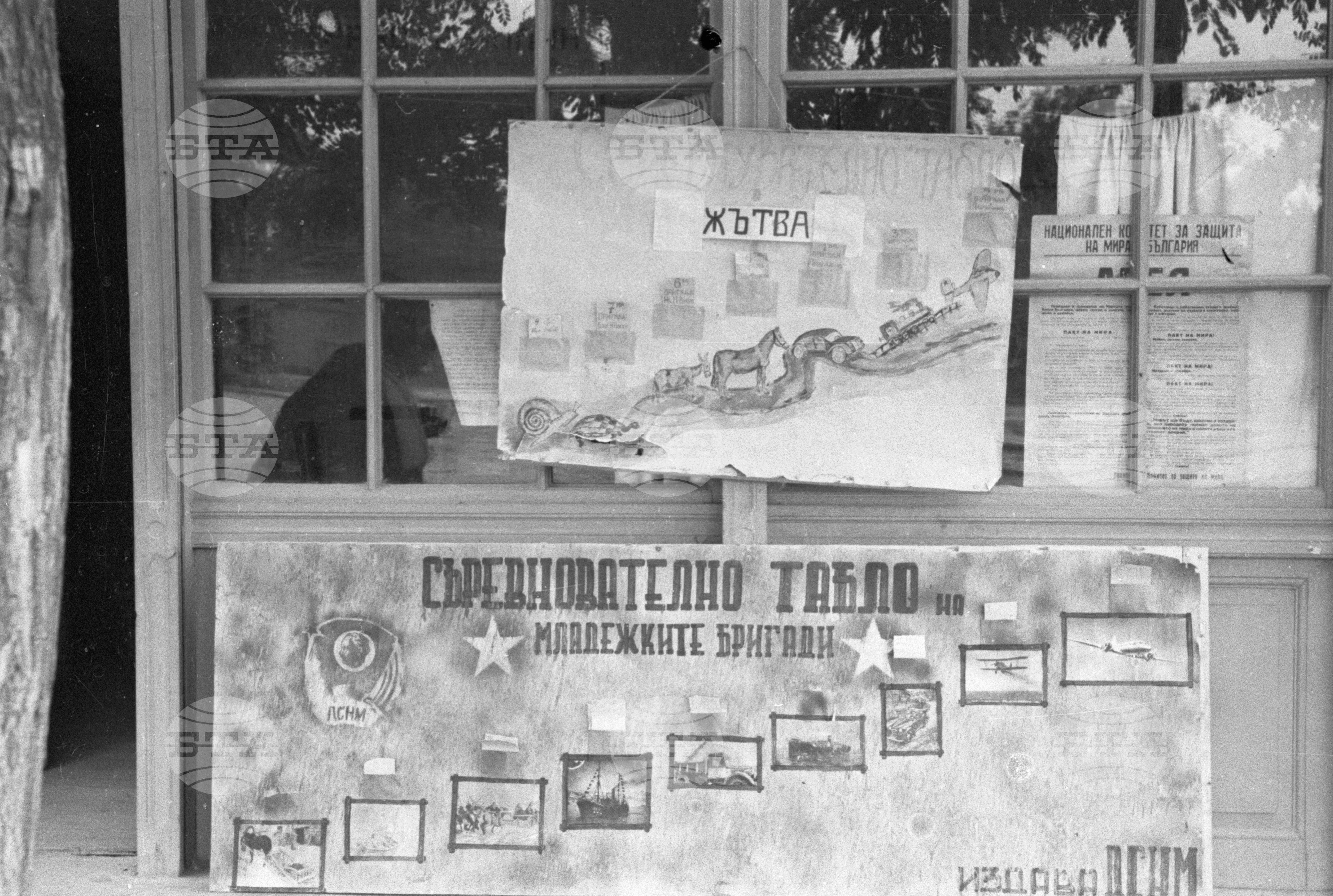 Жътва в ТКЗС "Крумово", Пловдивско, 1951