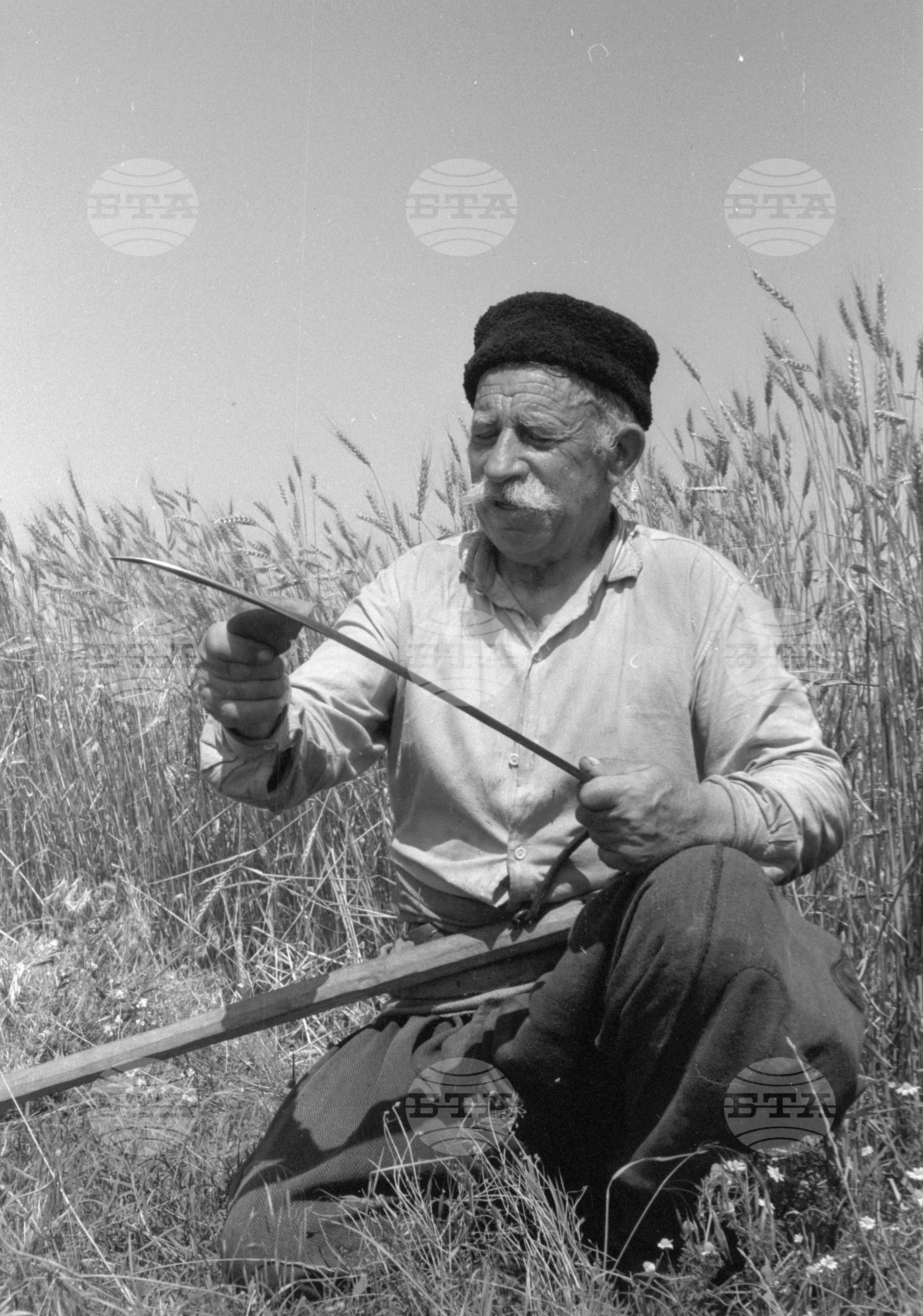 При най-добрите тютюнопроизводители