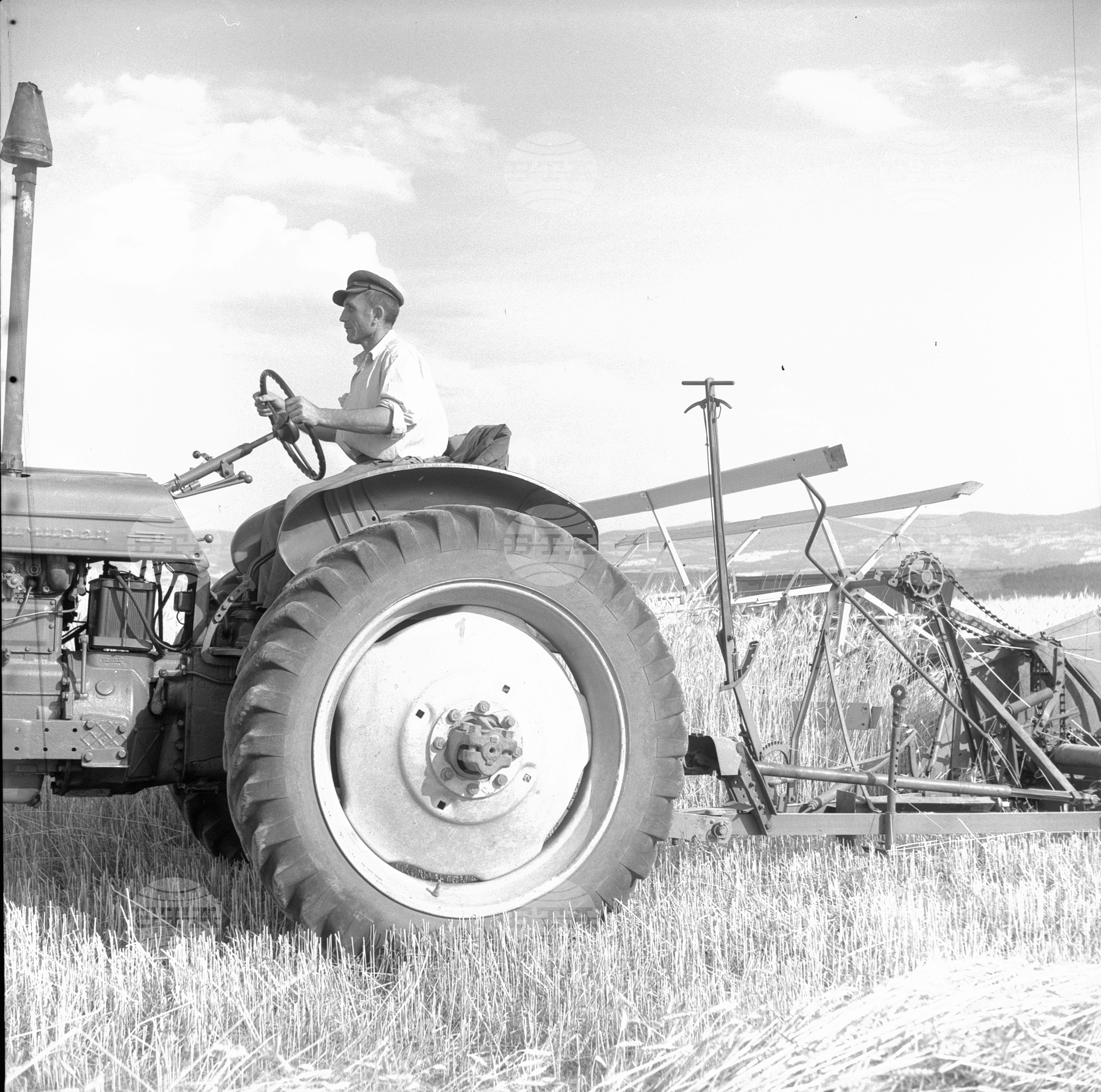 Жътвени дни във Врачански окръг - 1963