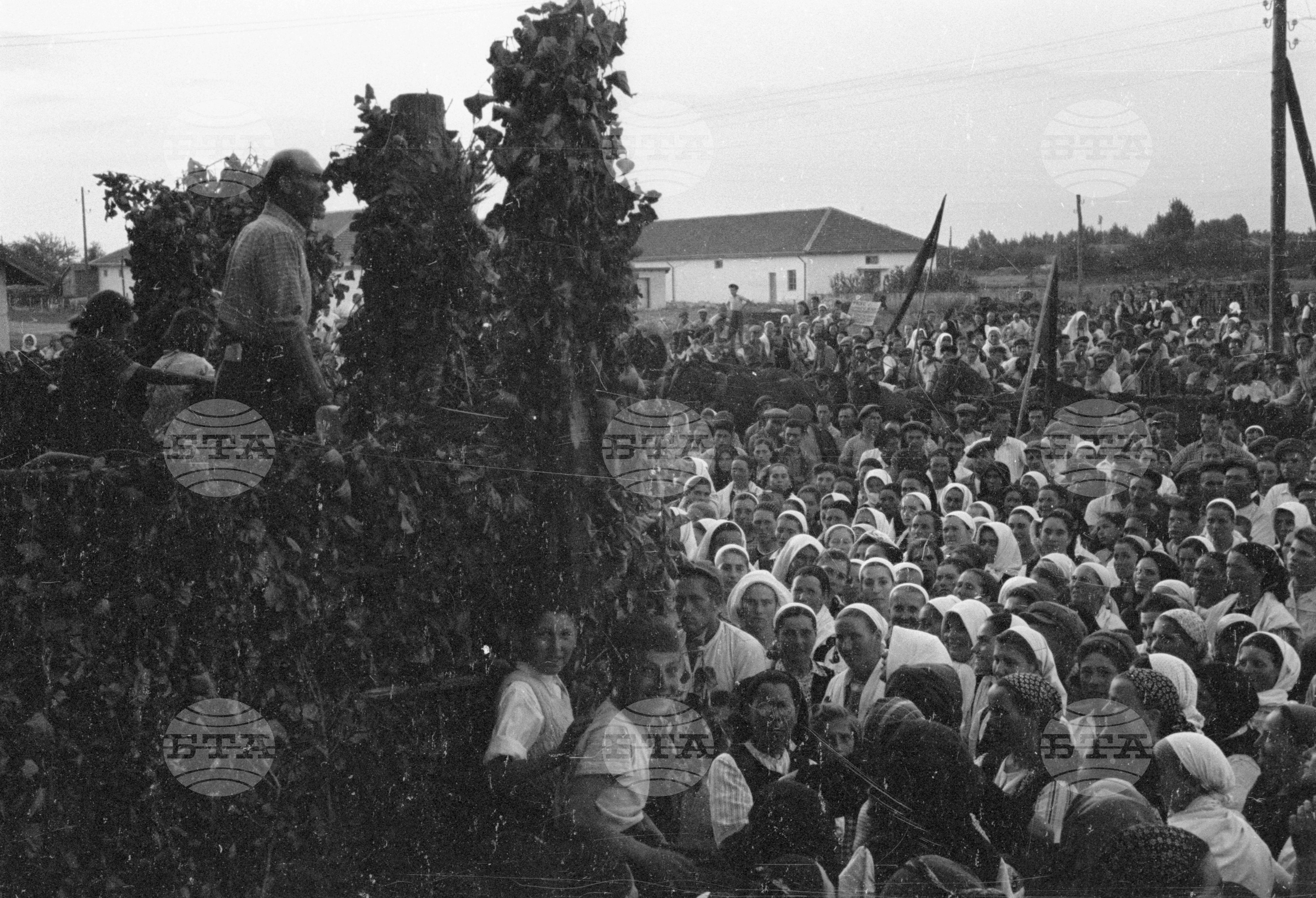 Предаване на зърнодоставки в Голямо Конаре (днес град Съединение), 1951