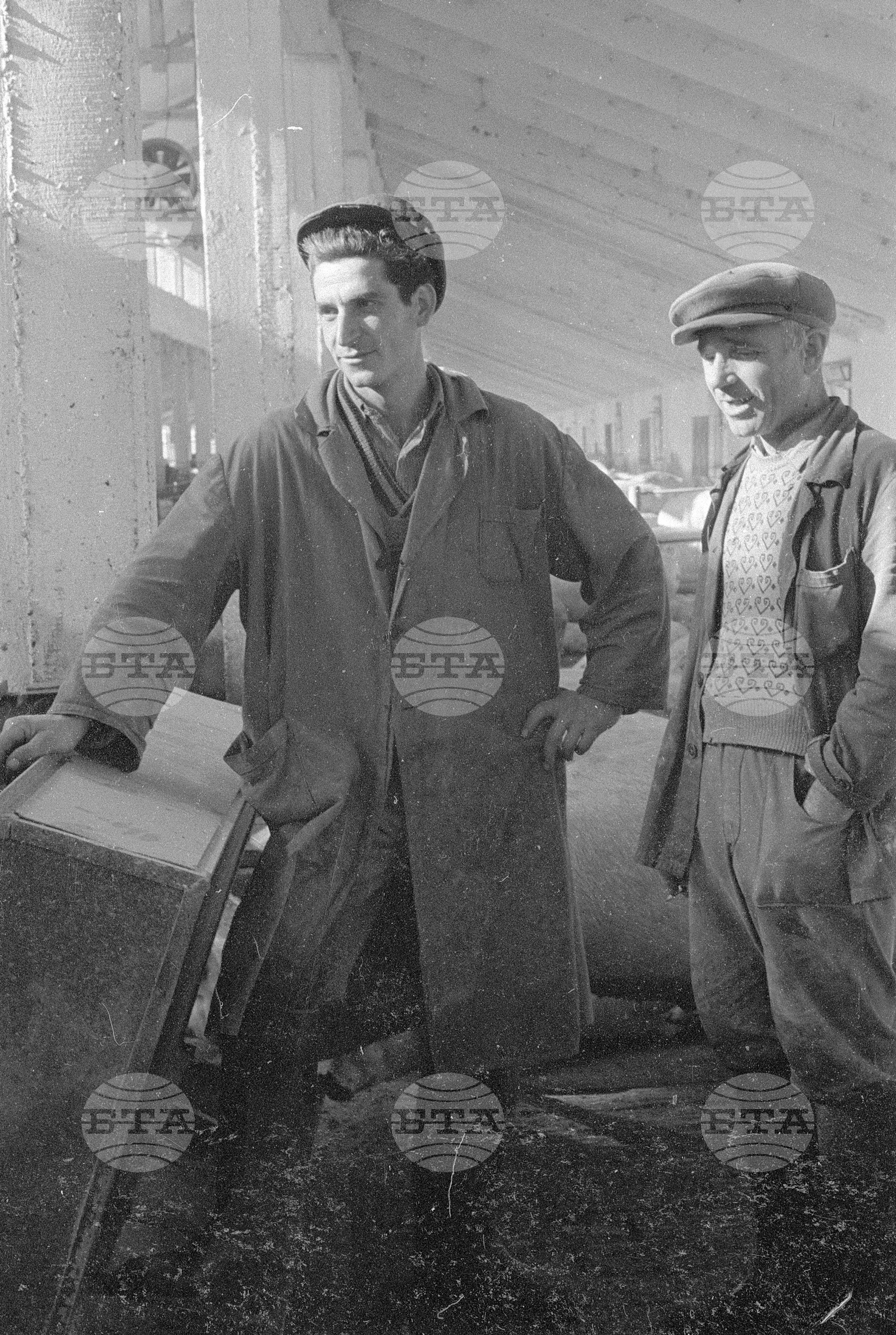Комплекс за производство на свинско месо на ТКЗС (Трудово кооперативно земеделско стопанство) - град Попово