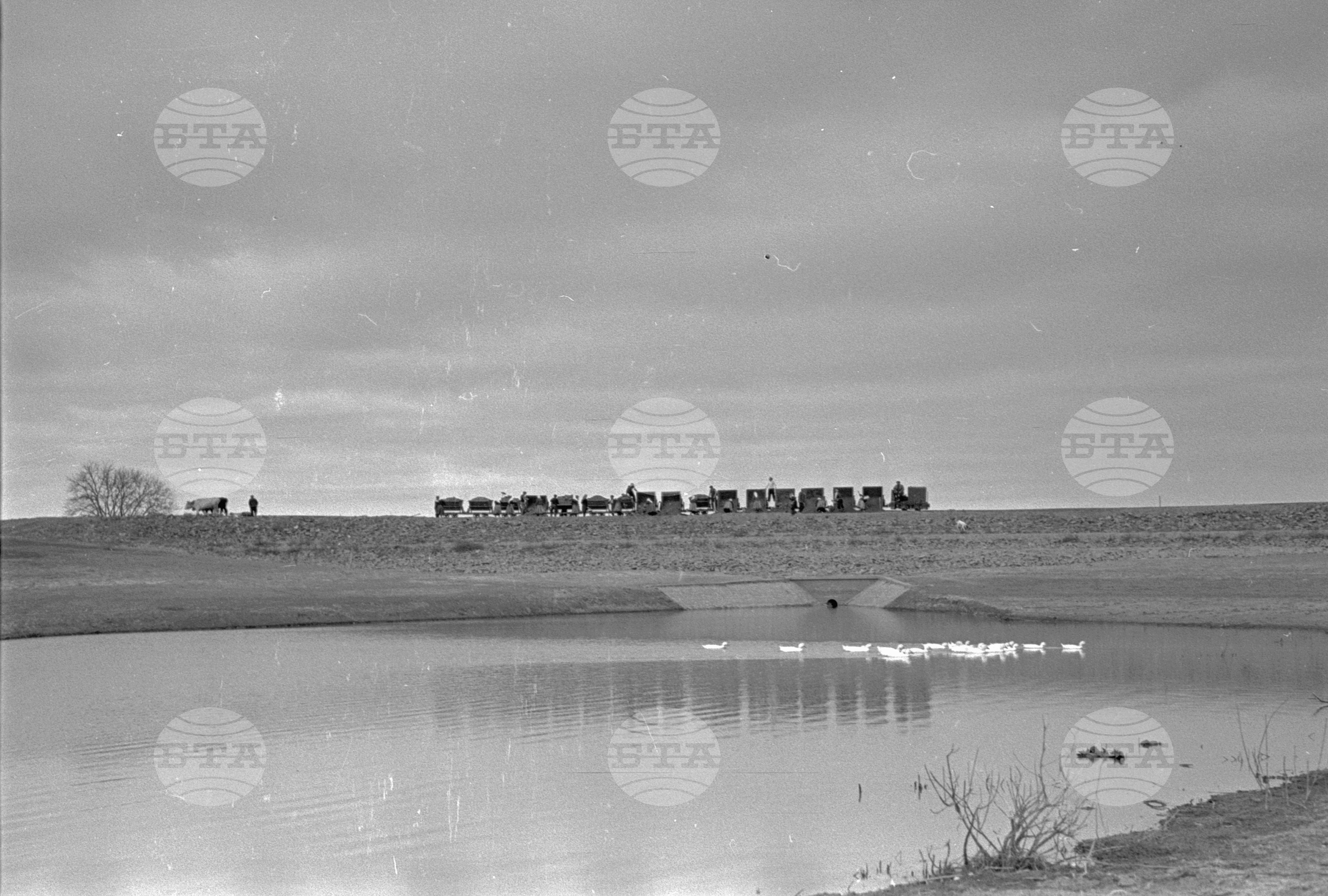 Строеж на микроязовир - 1953 година