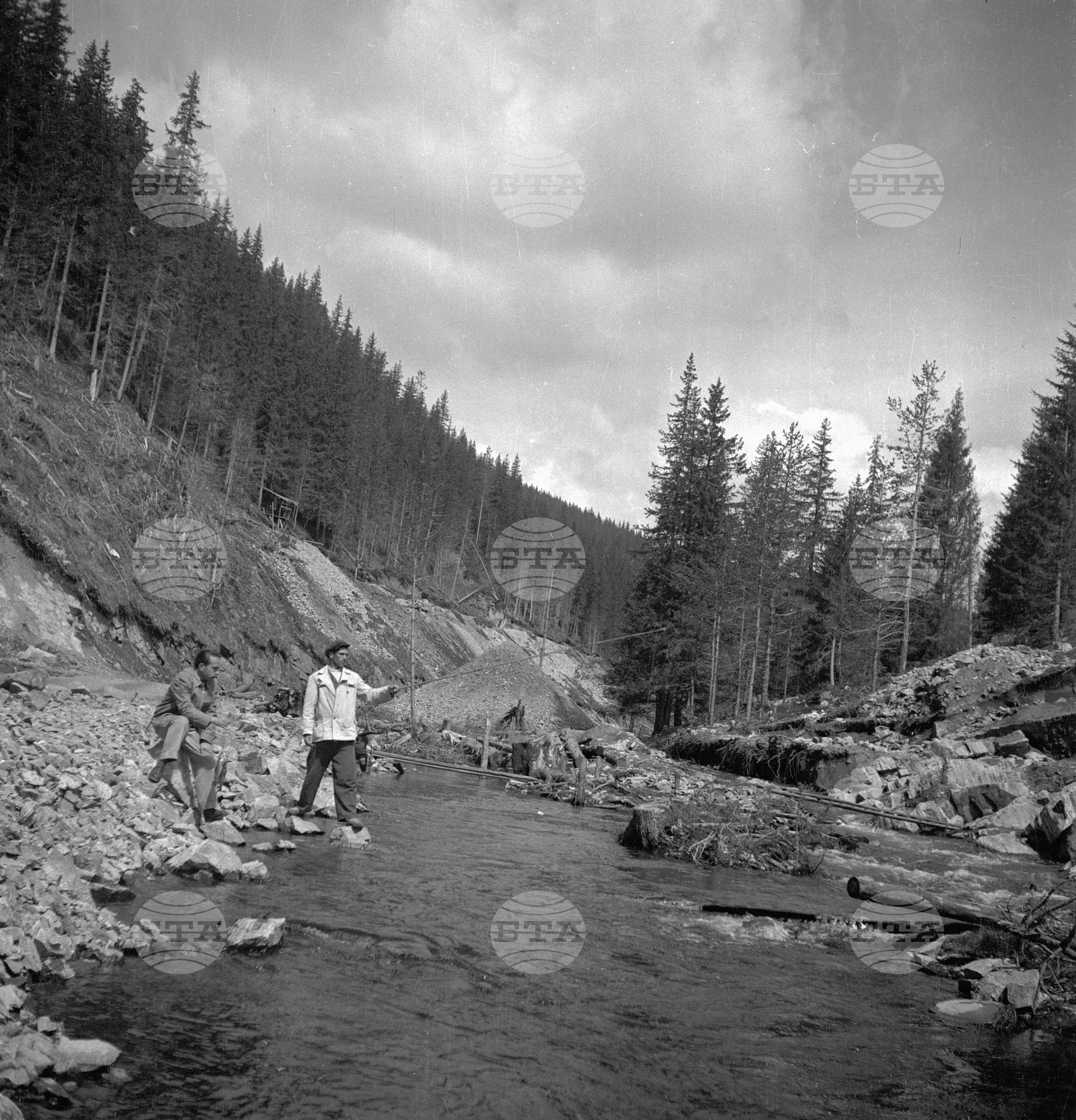 Дърводобив в държавни горски стопанства, 1951 - част 8
