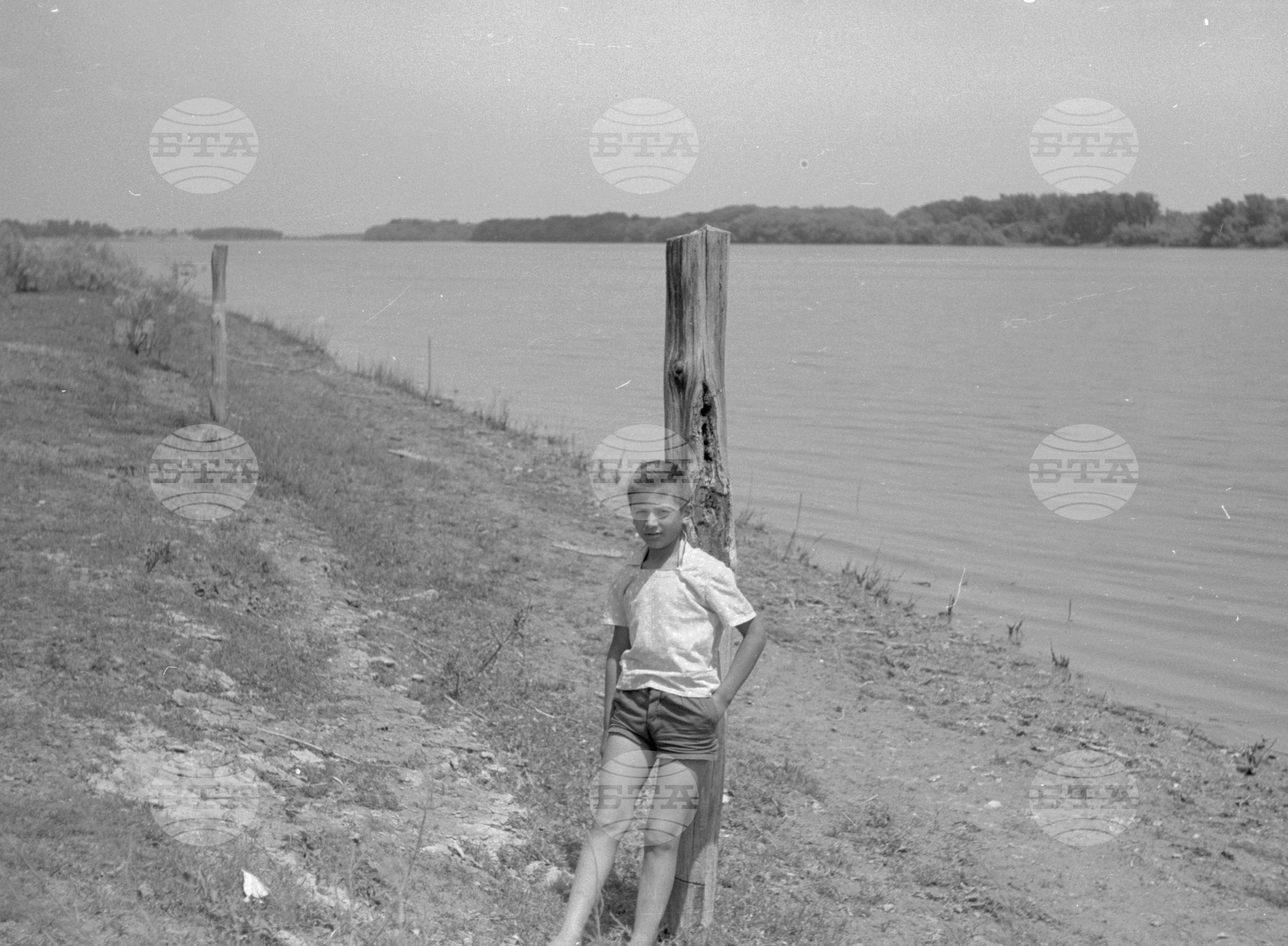 Снимки от Видински окръг - 1963