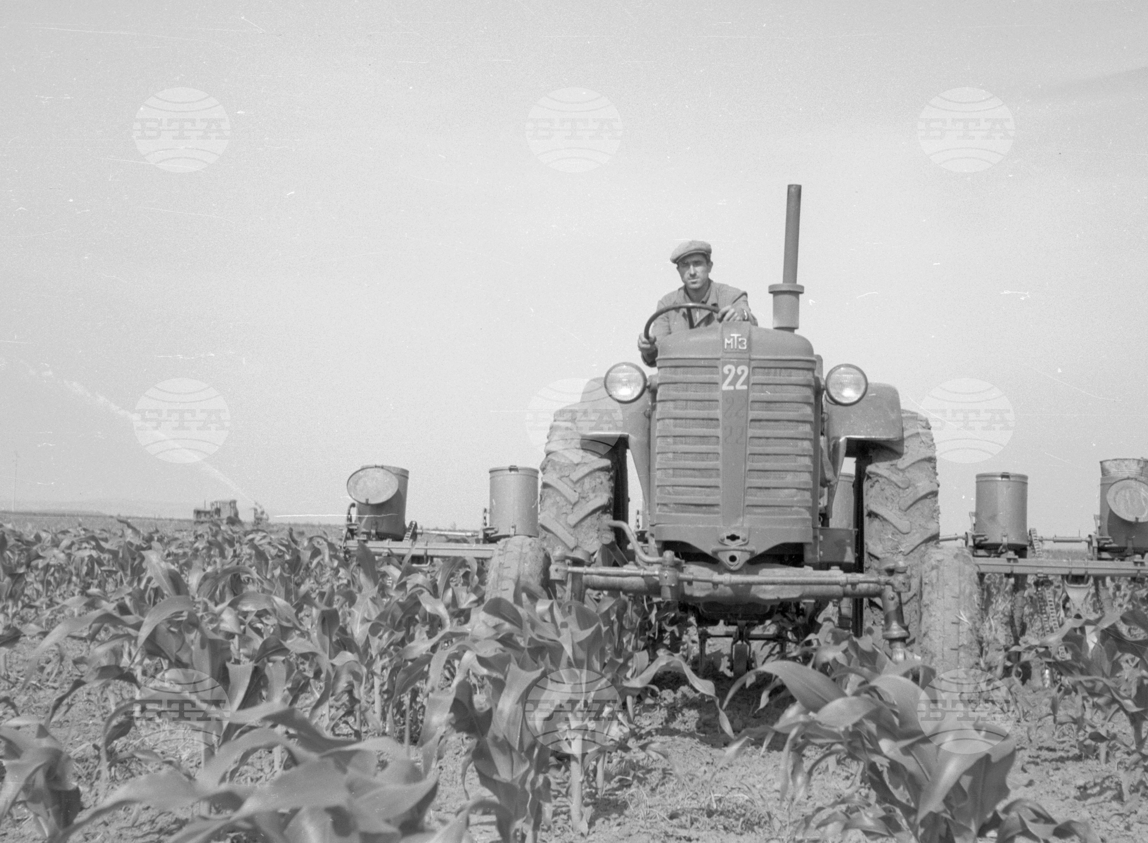 Снимки от Видински окръг - 1963