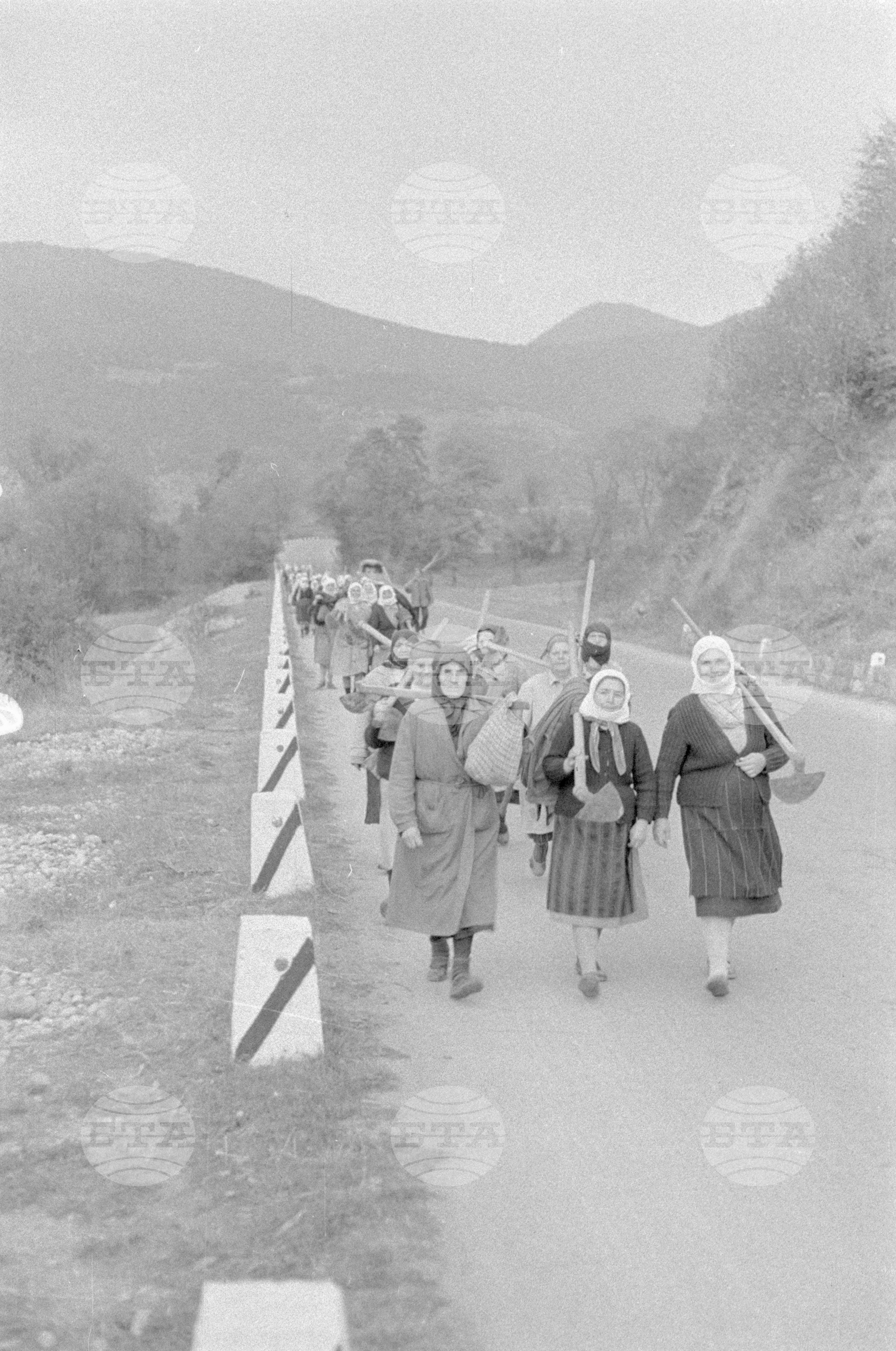 Работници от ДЗС (Държавно земеделско стопанство) село Пасарел се завръщат от работа