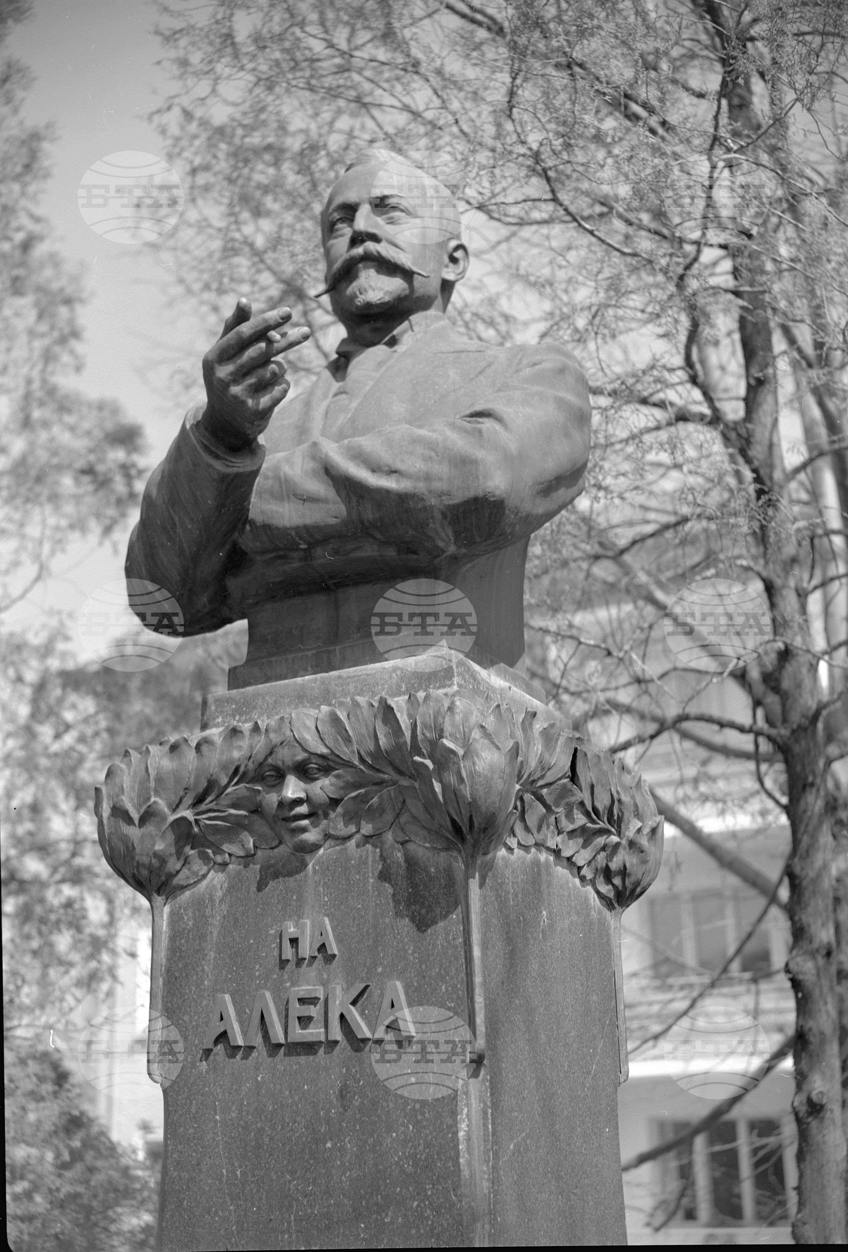 Град Свищов в снимки