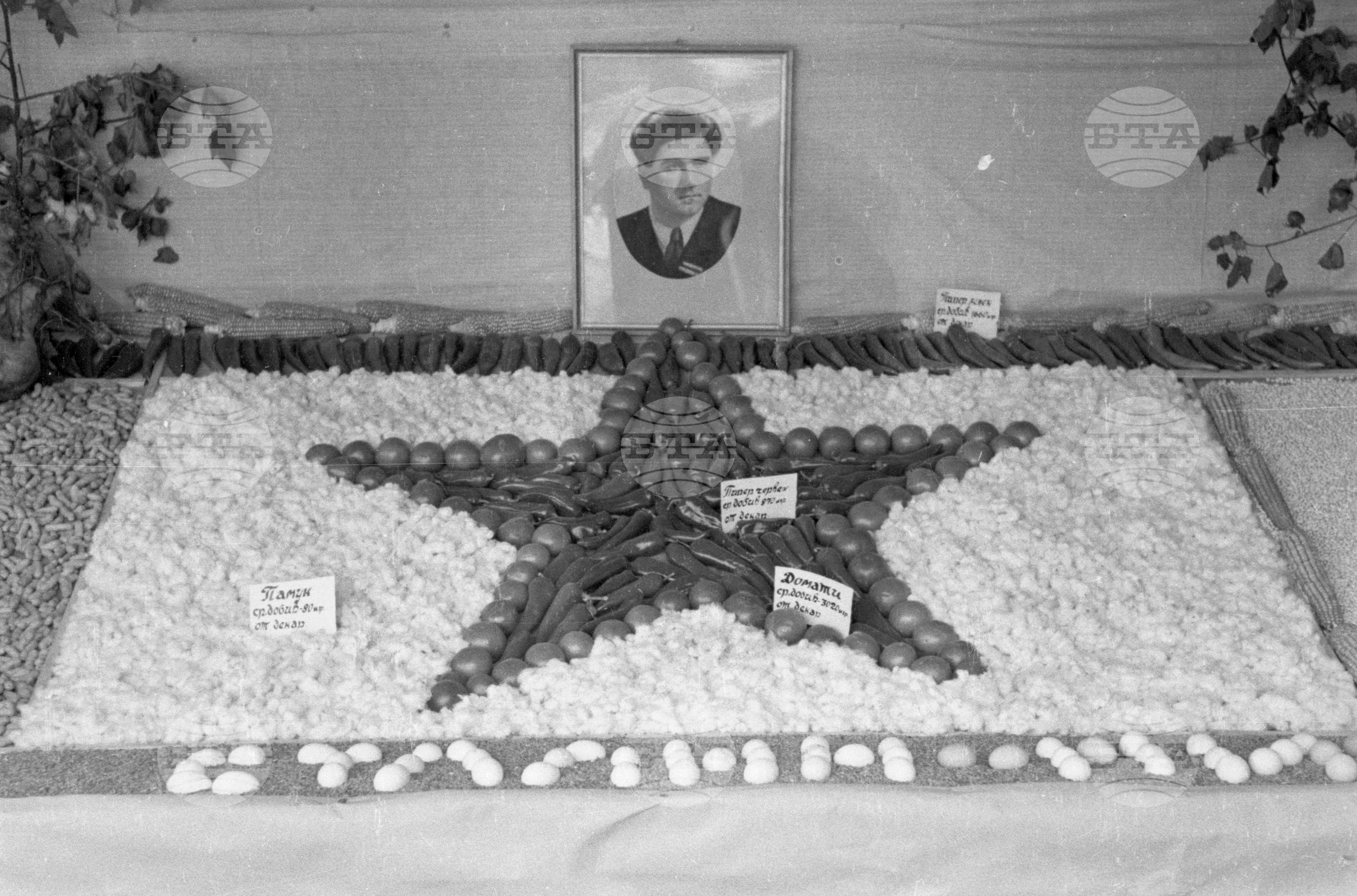 Архив - Българска телеграфна агенция (БТА), 1951