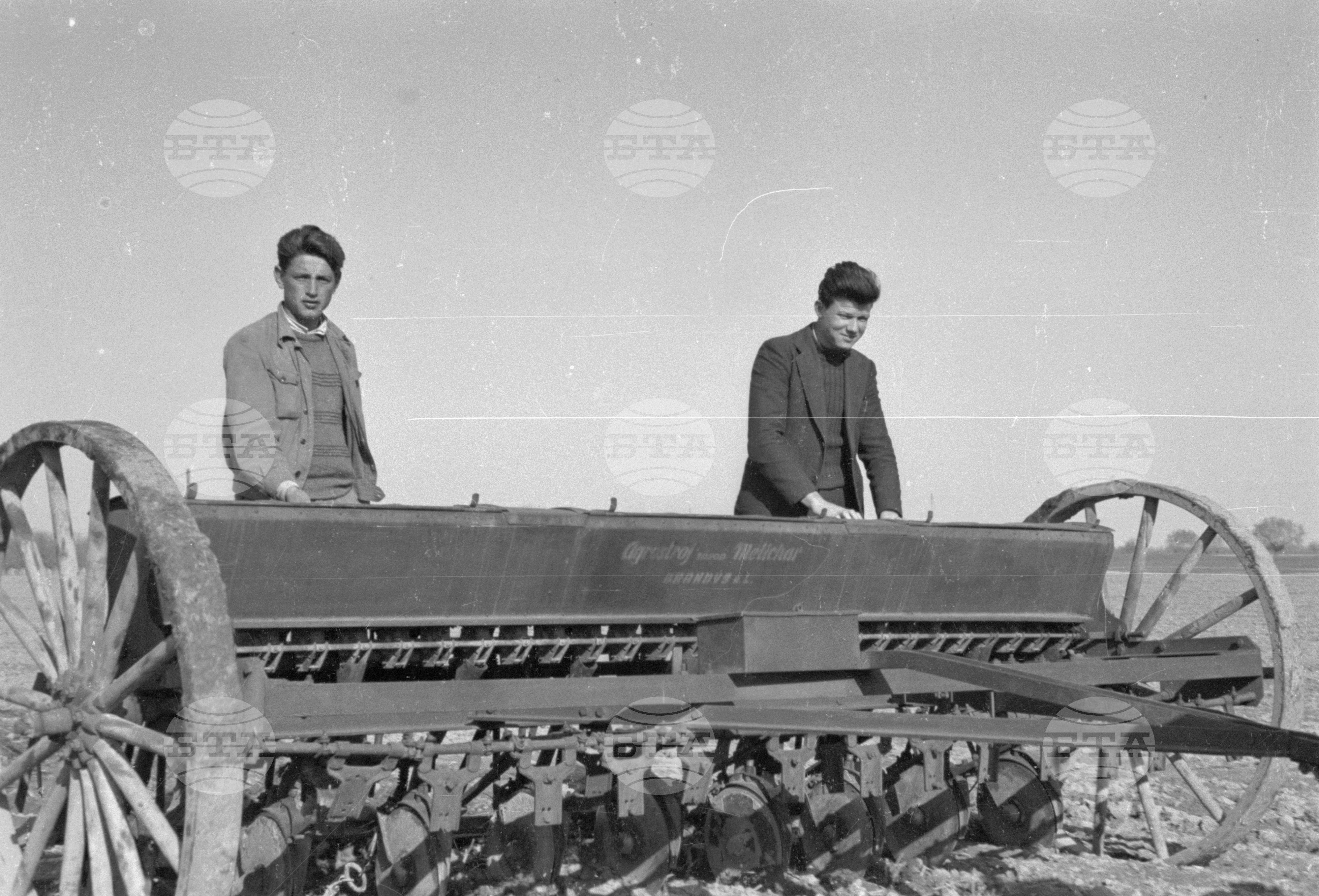 Трудово кооперативното земеделско стопанство (ТКЗС) Караджово, 1951