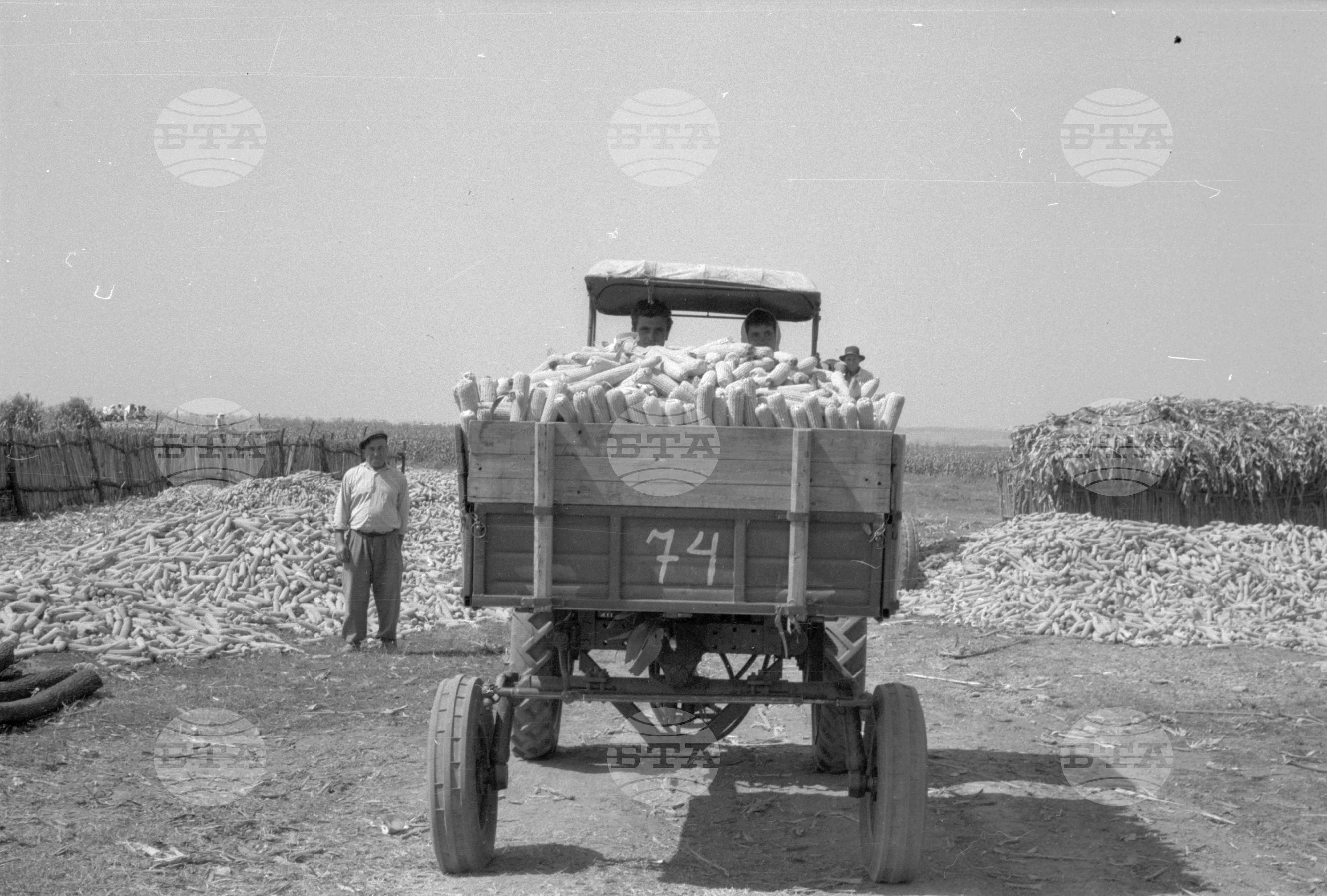 ТКЗС (Трудово кооперативно земеделско стопанство) във Видин - 1963
