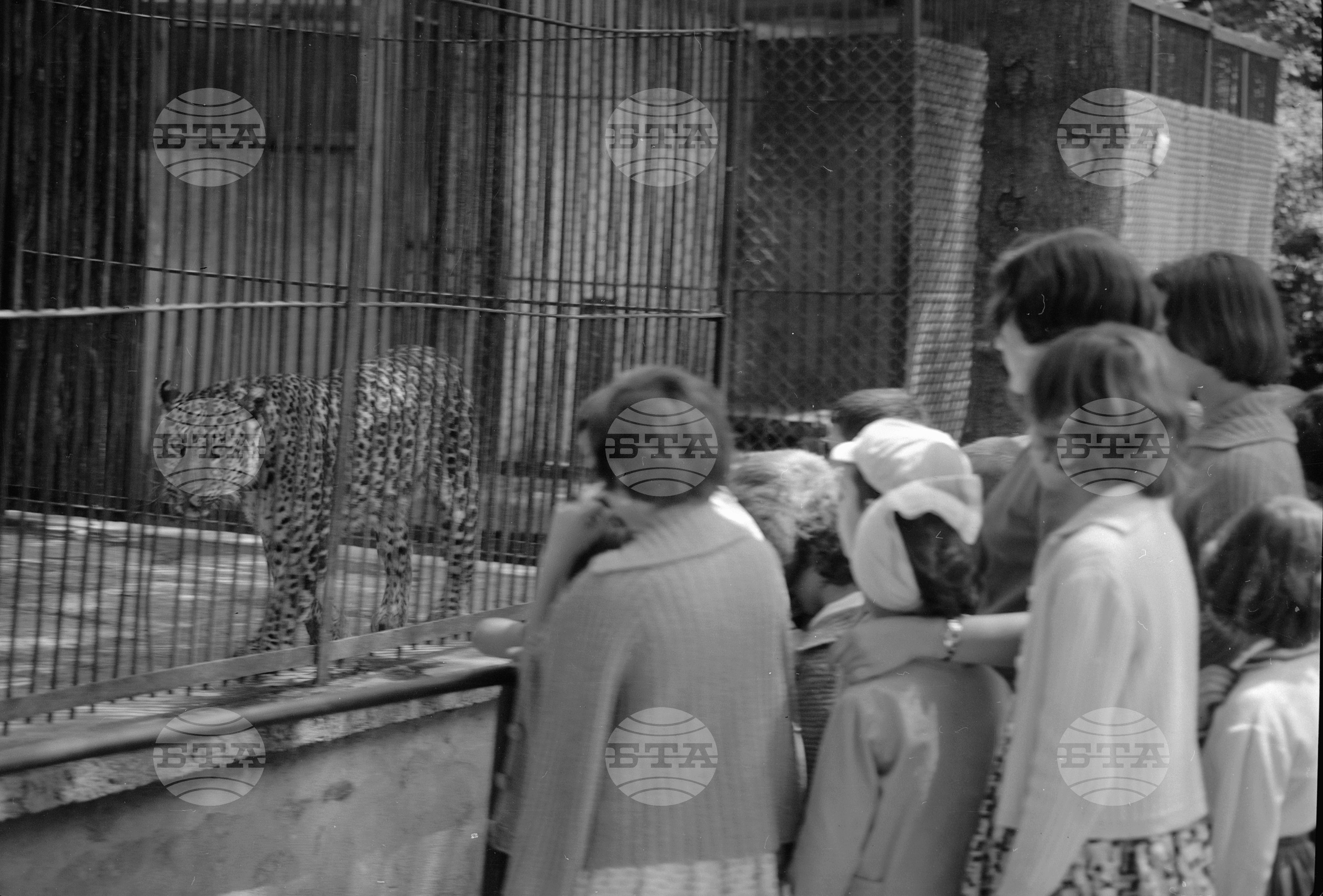 Зоологическа градина София - 1962 година част 2