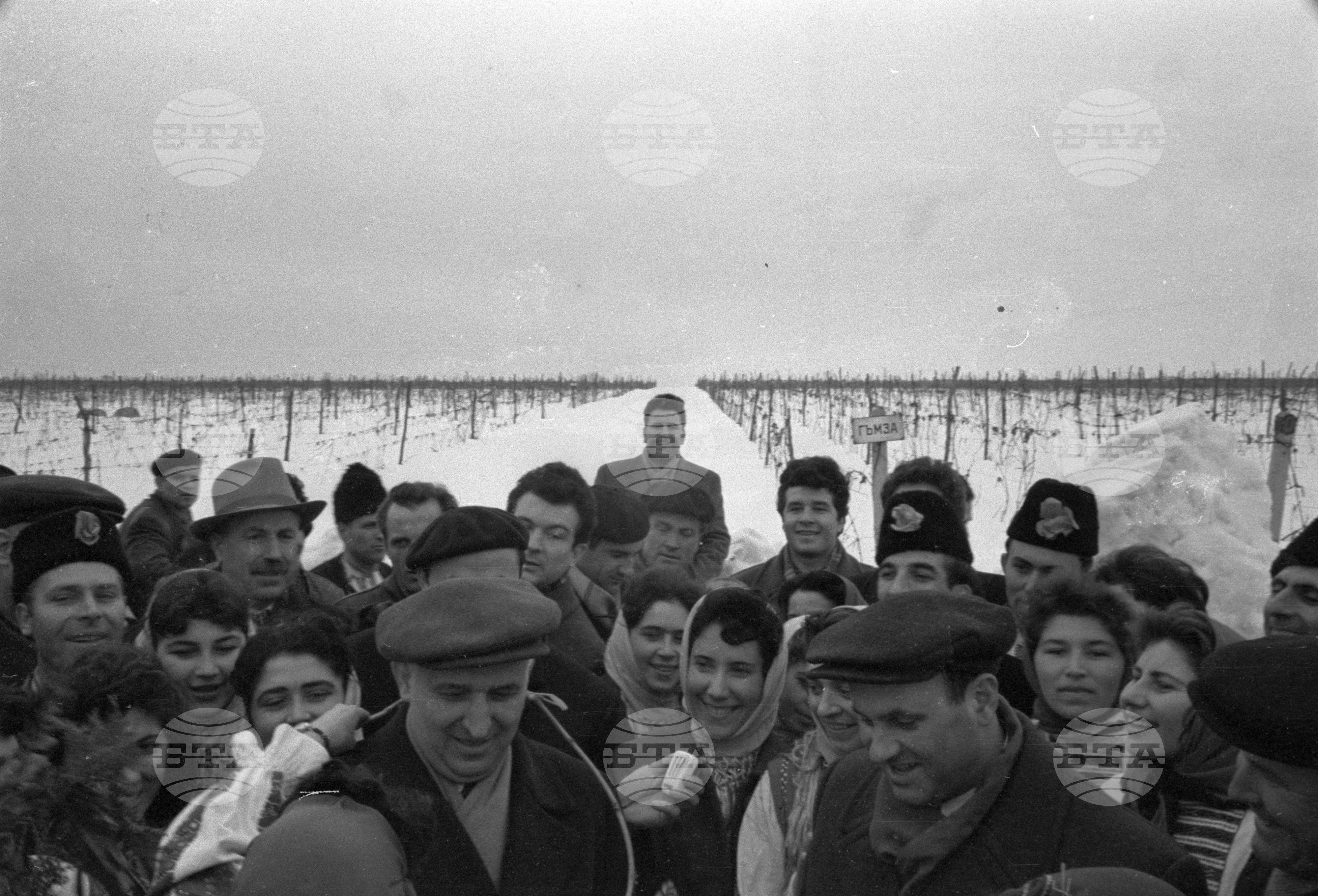 Празника на лозаря в Научния институт по винарство и лозарство в Плевен