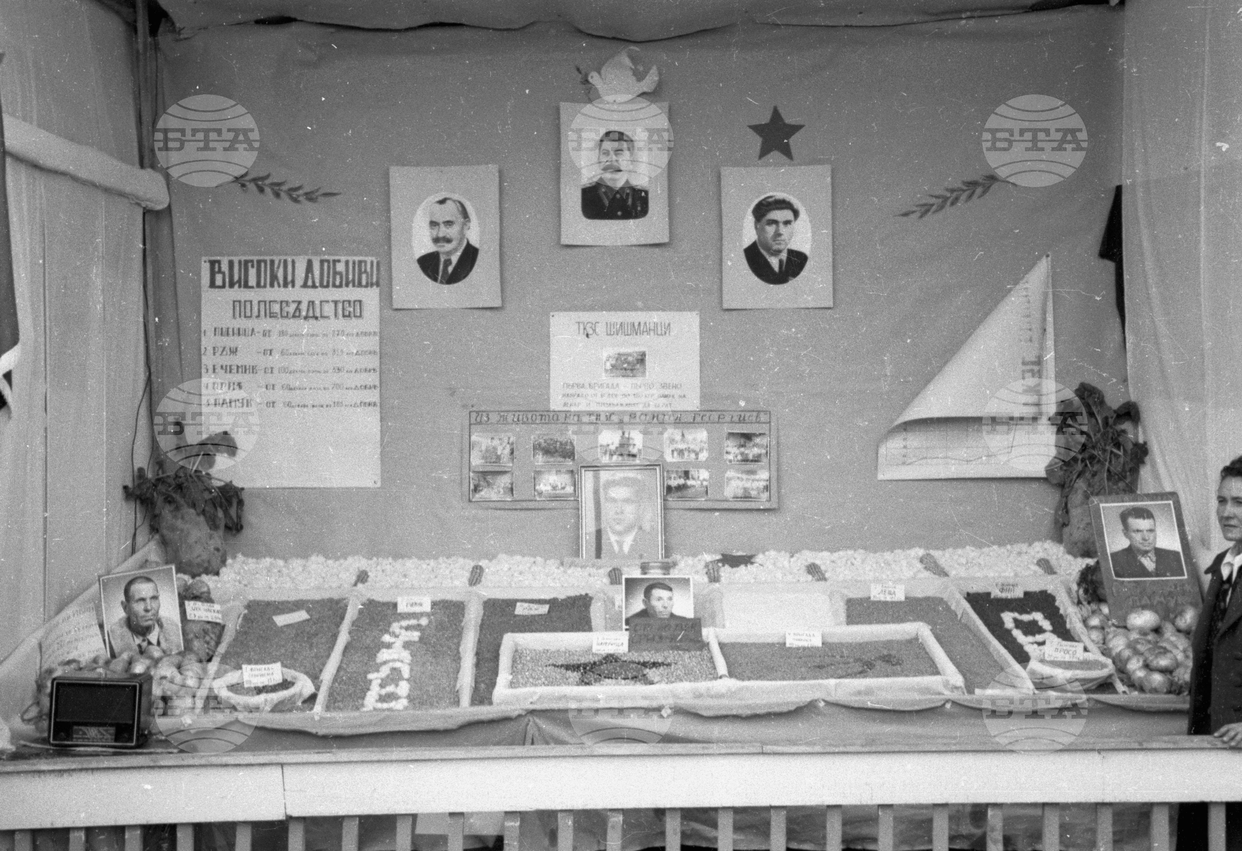 Селскостопанска изложба в Левскиград (дн. Карлово), 1951