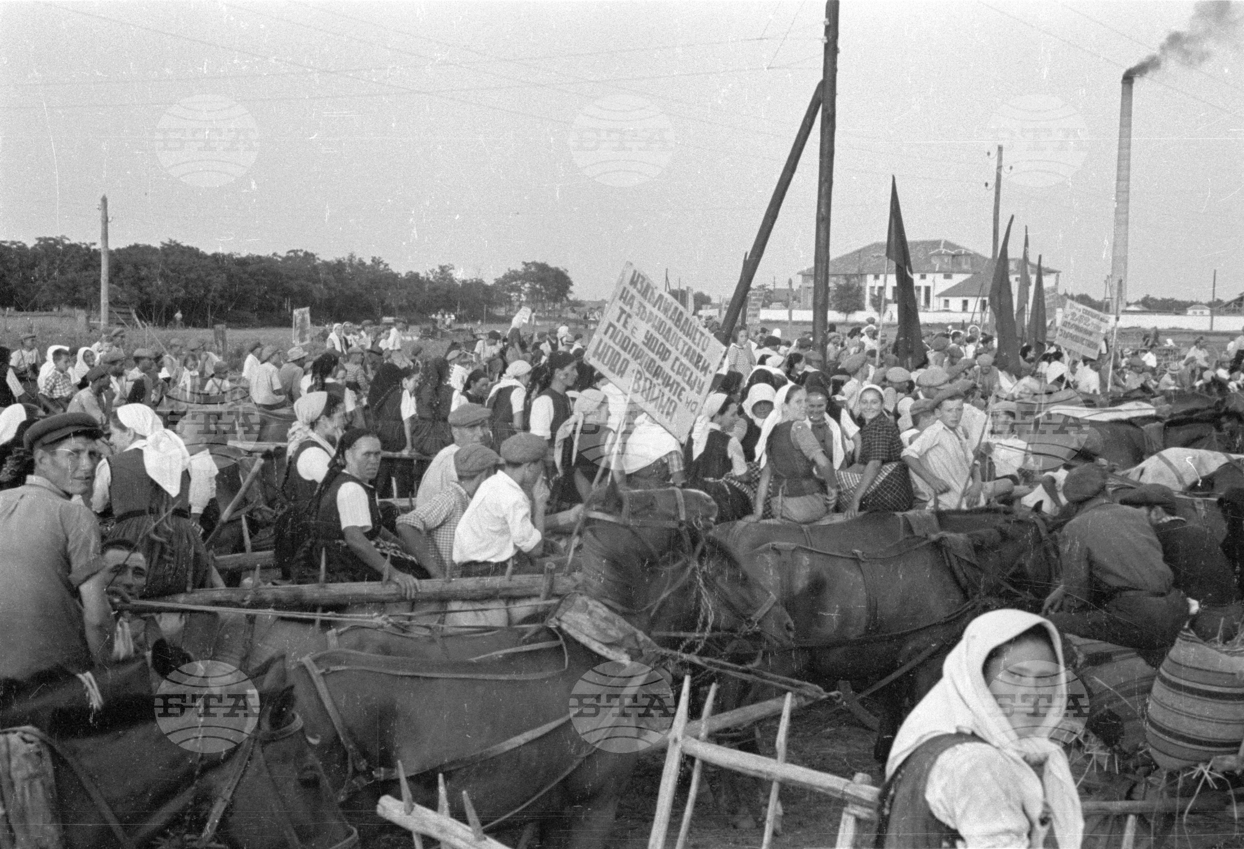Предаване на зърнодоставки в Голямо Конаре (днес град Съединение), 1951