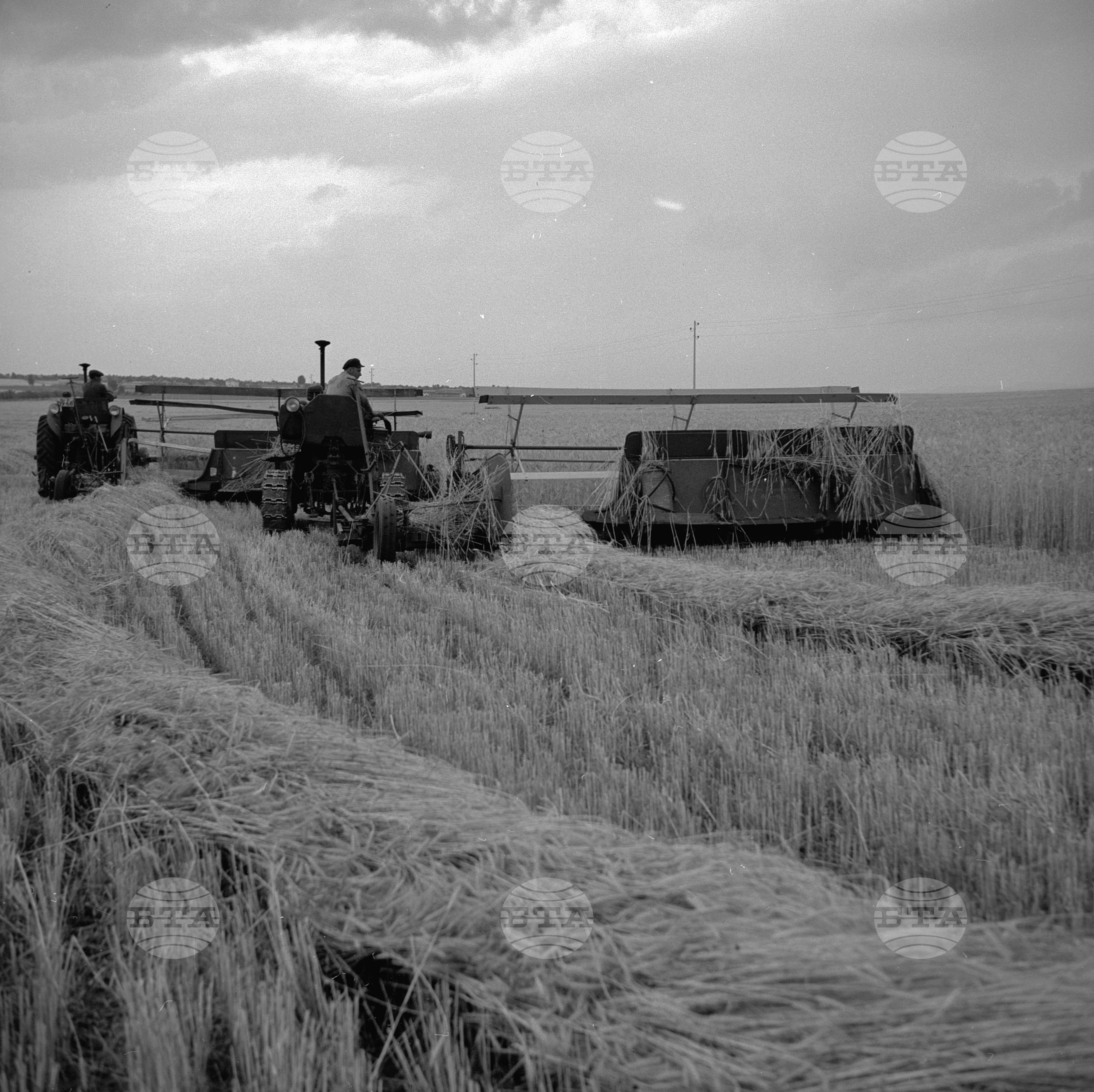 Жътвени дни в село Искра, Бургаски окръг