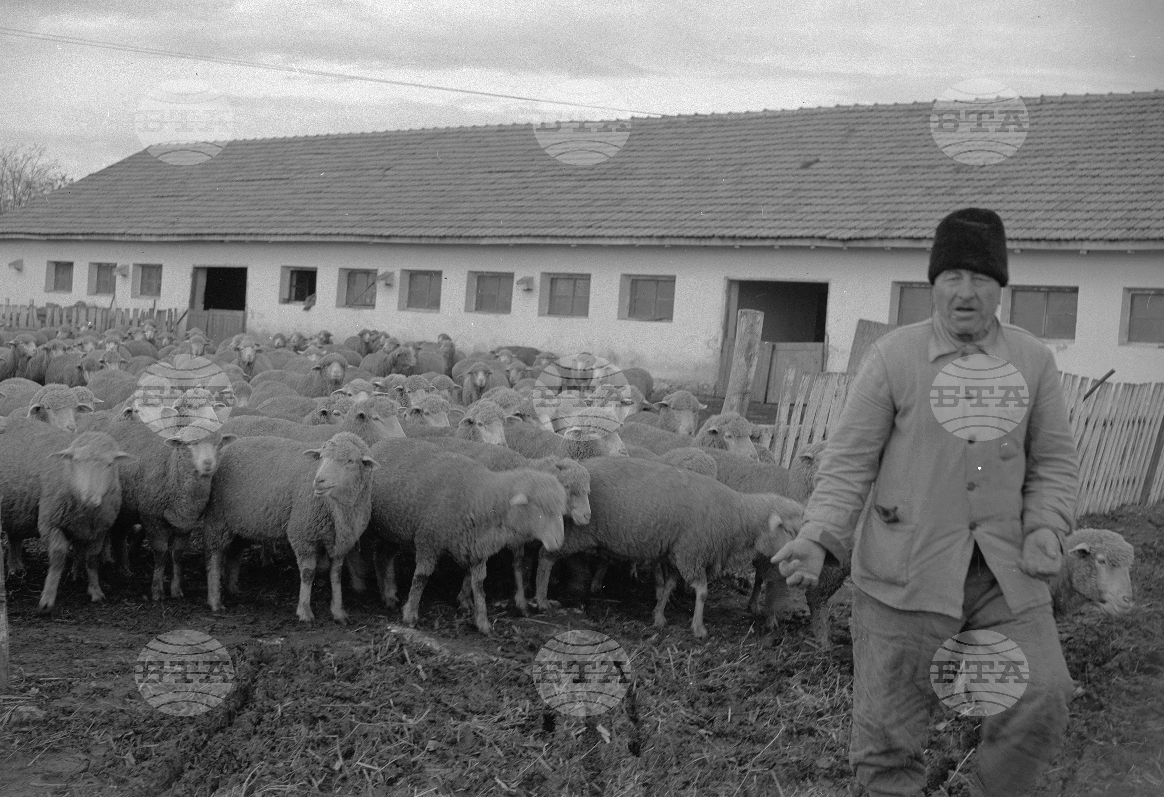 Добруджански селскостопански научно-изследователски институт край Генерал Тошево