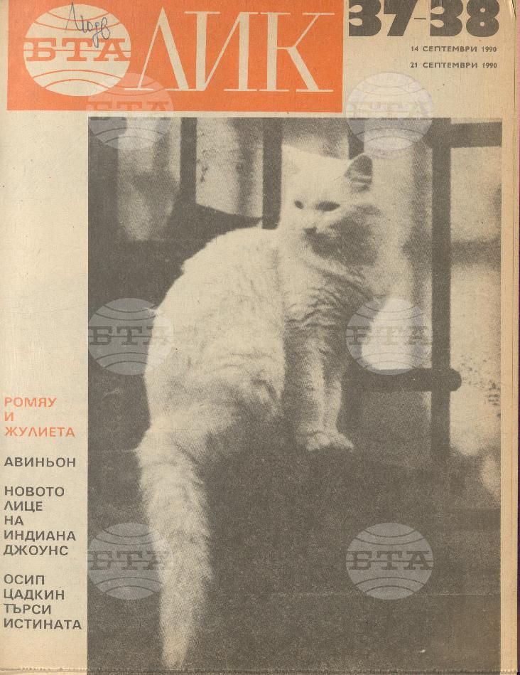 ЛИК 1 - 38 брой 1990 година