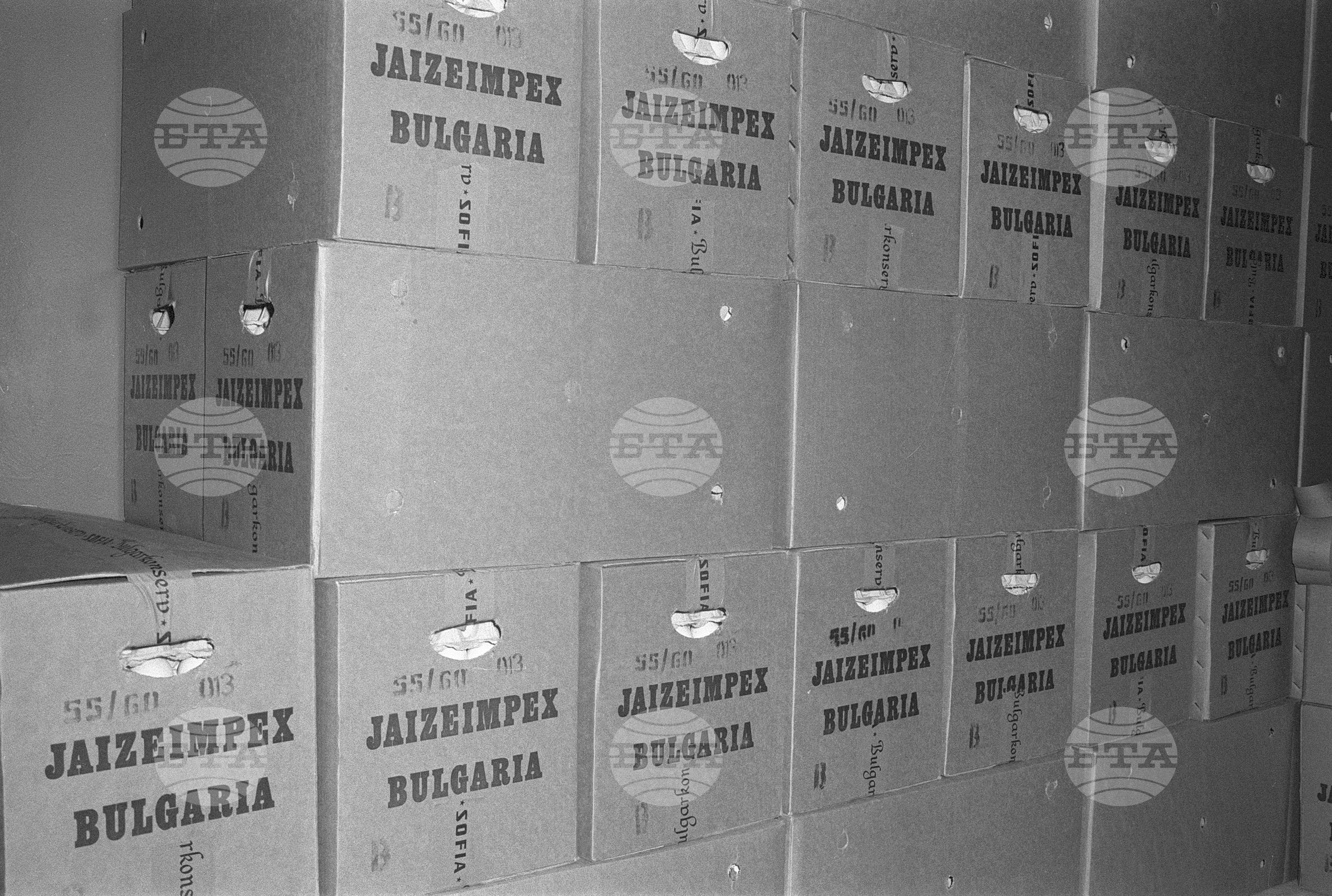 В птицезавода на агропромишления комплекс село Грамада, Видинско