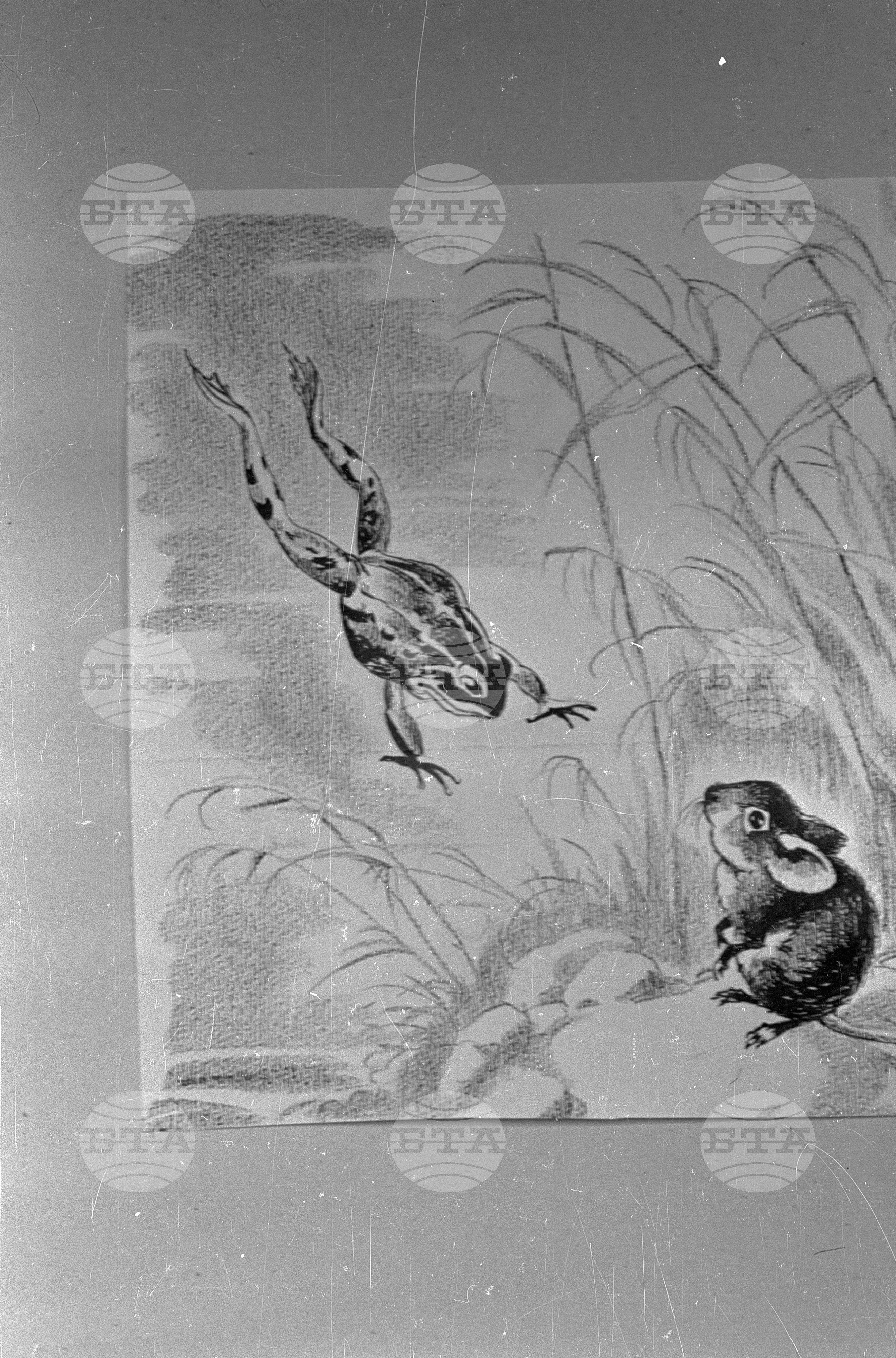 Изложба „Илюстрация на българската книга“ - 1953 година
