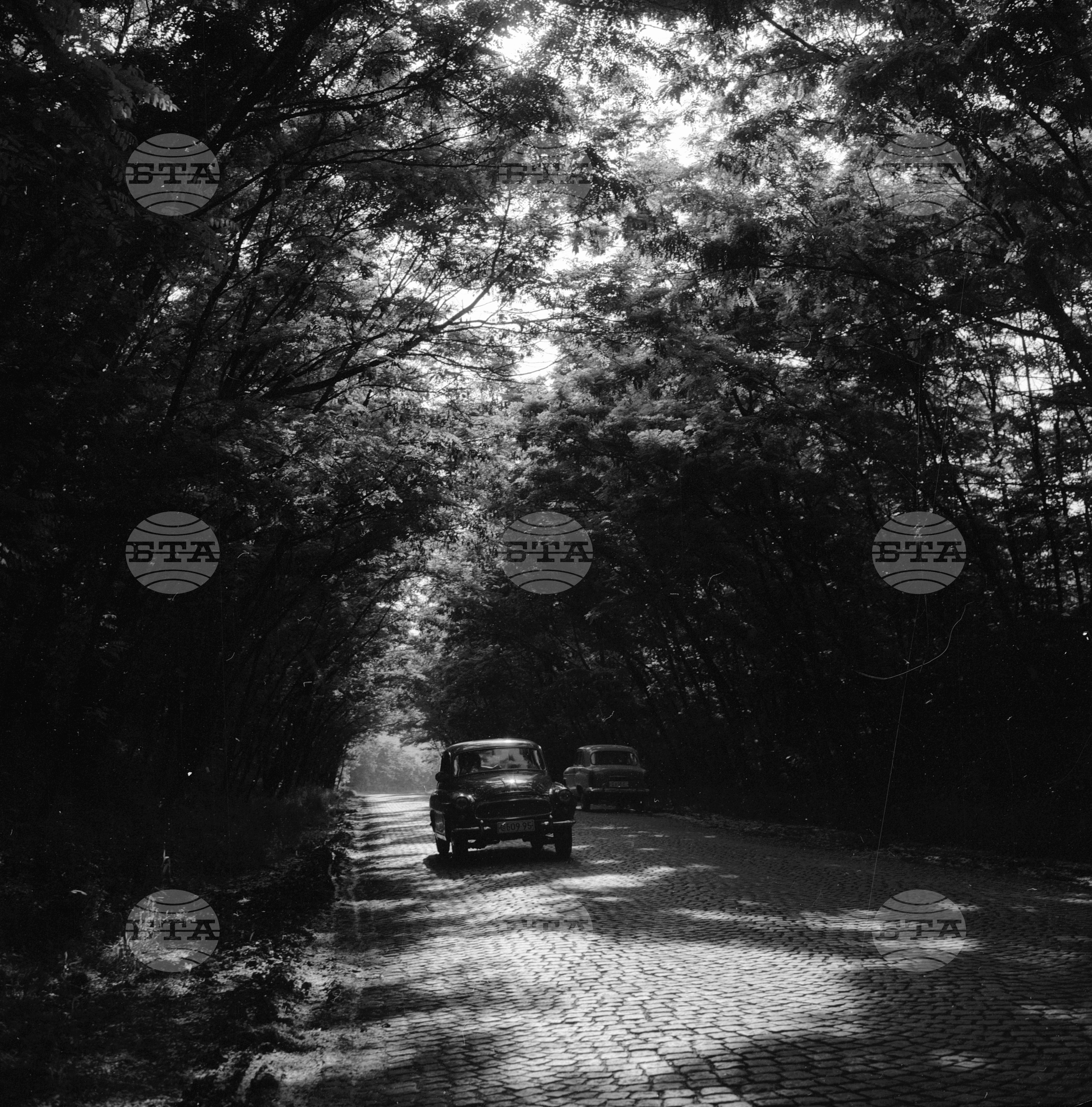 Из Пазарджишки окръг - 1963