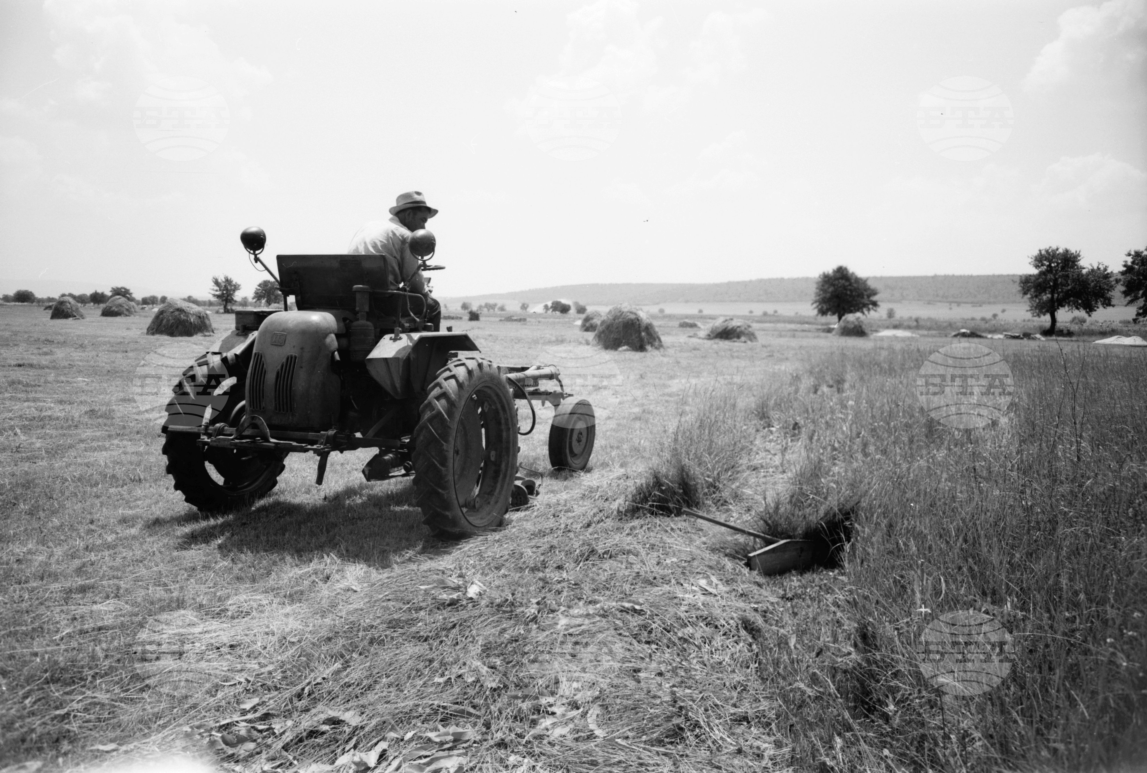 Из Търговищки окръг 1963 годишна