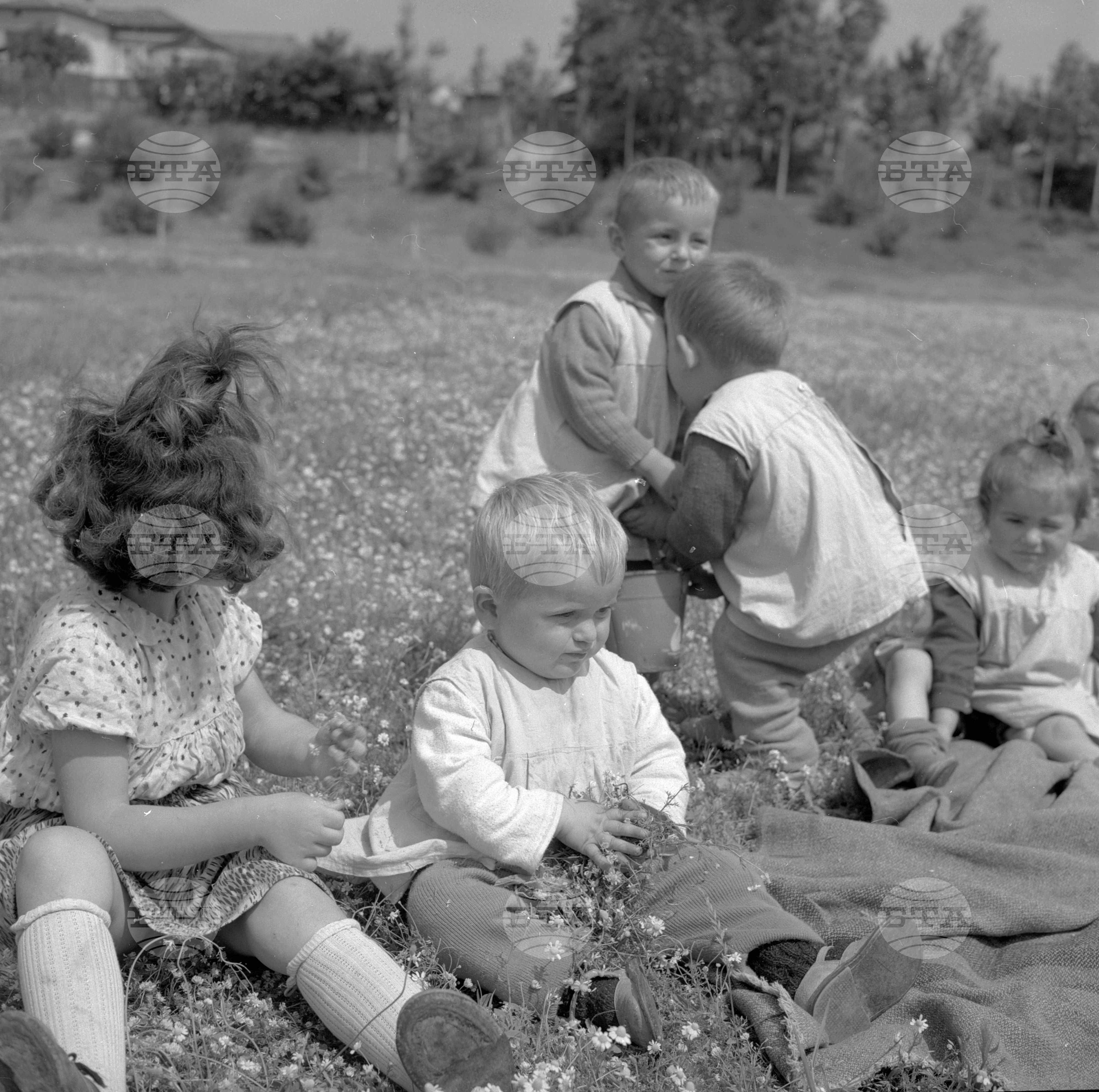 Из Пазарджишки окръг - 1963