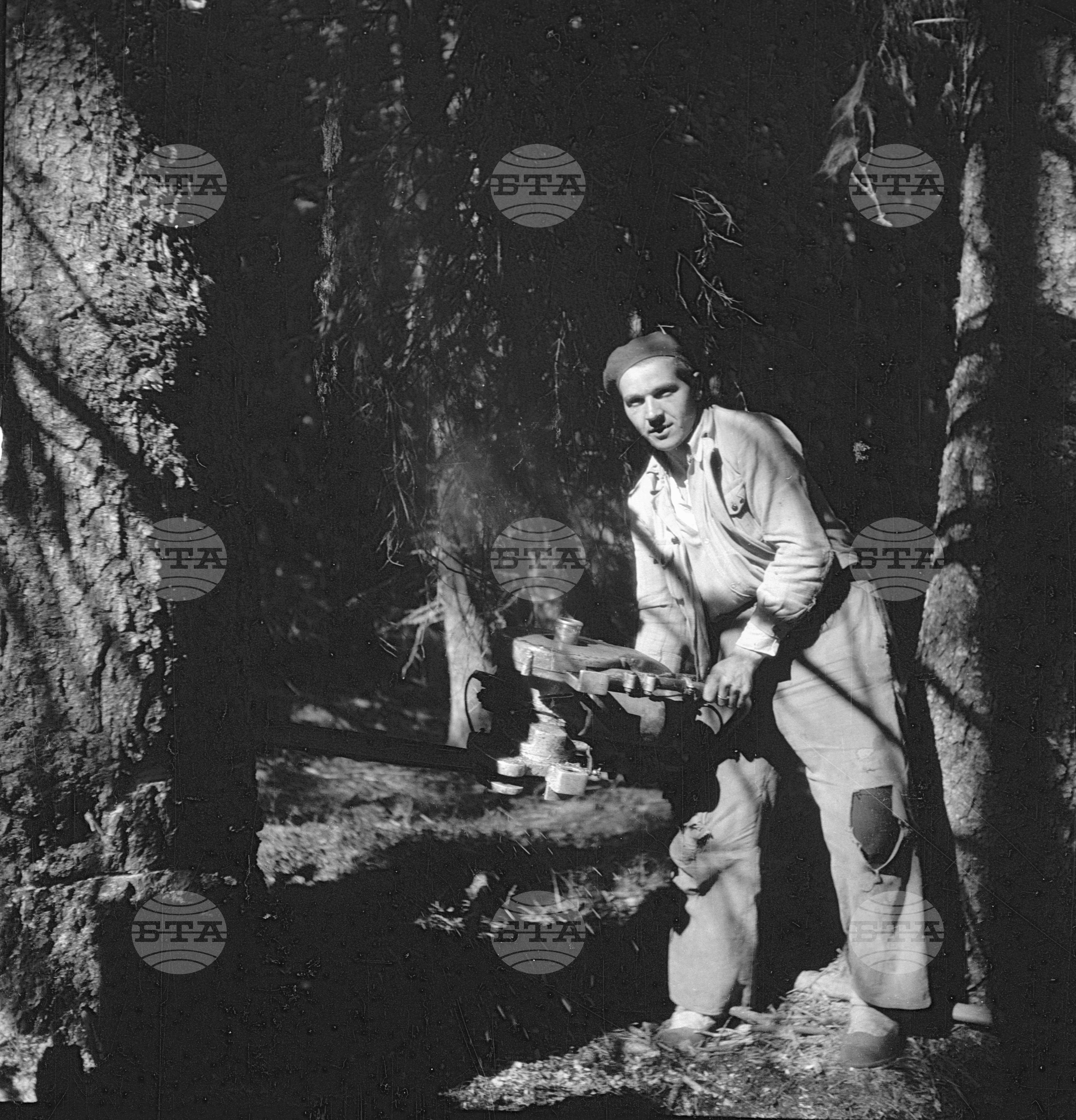 Дърводобив в държавни горски стопанства, 1951 - част 7