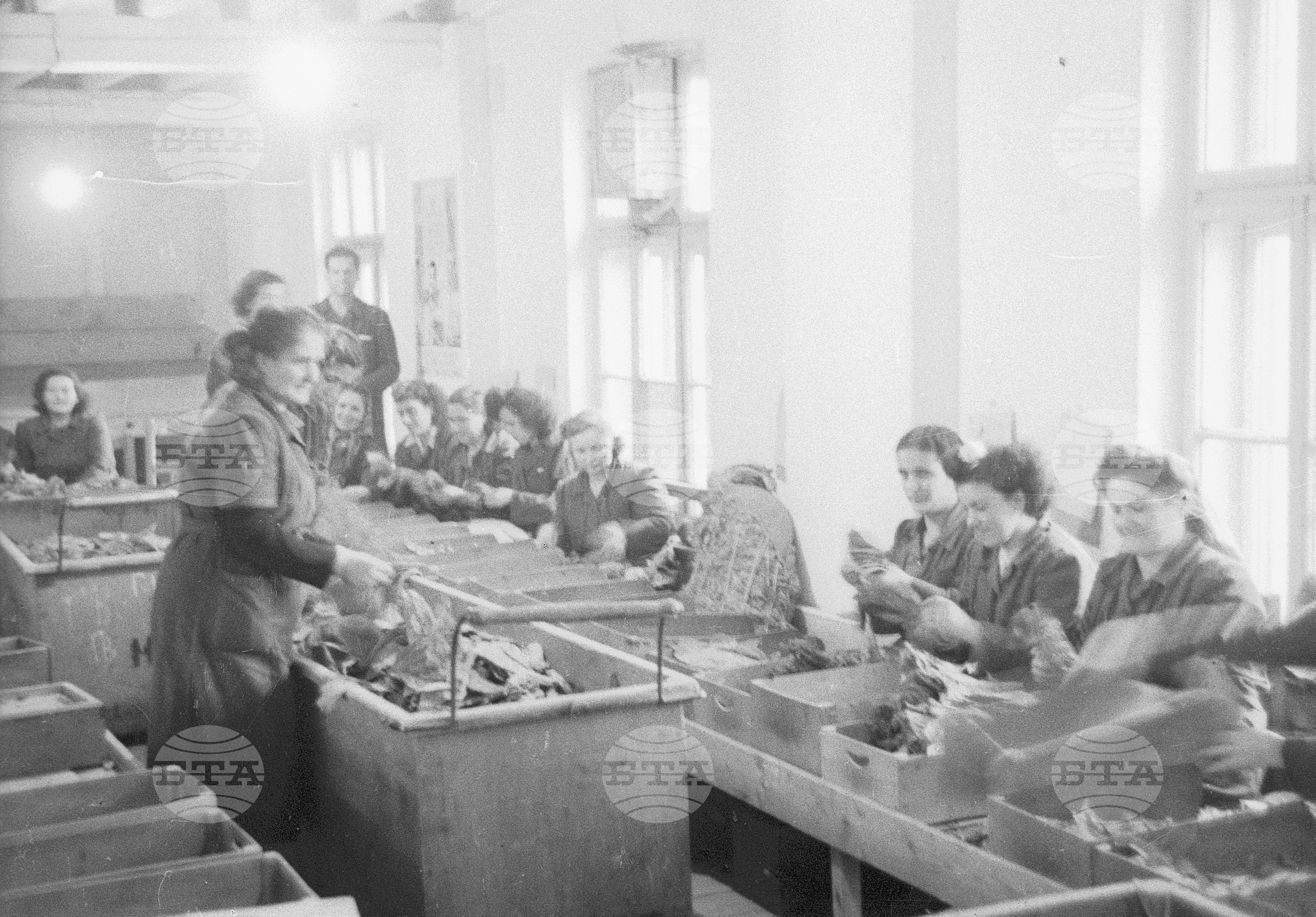 Ирина Боянова предава своя опит, 1951