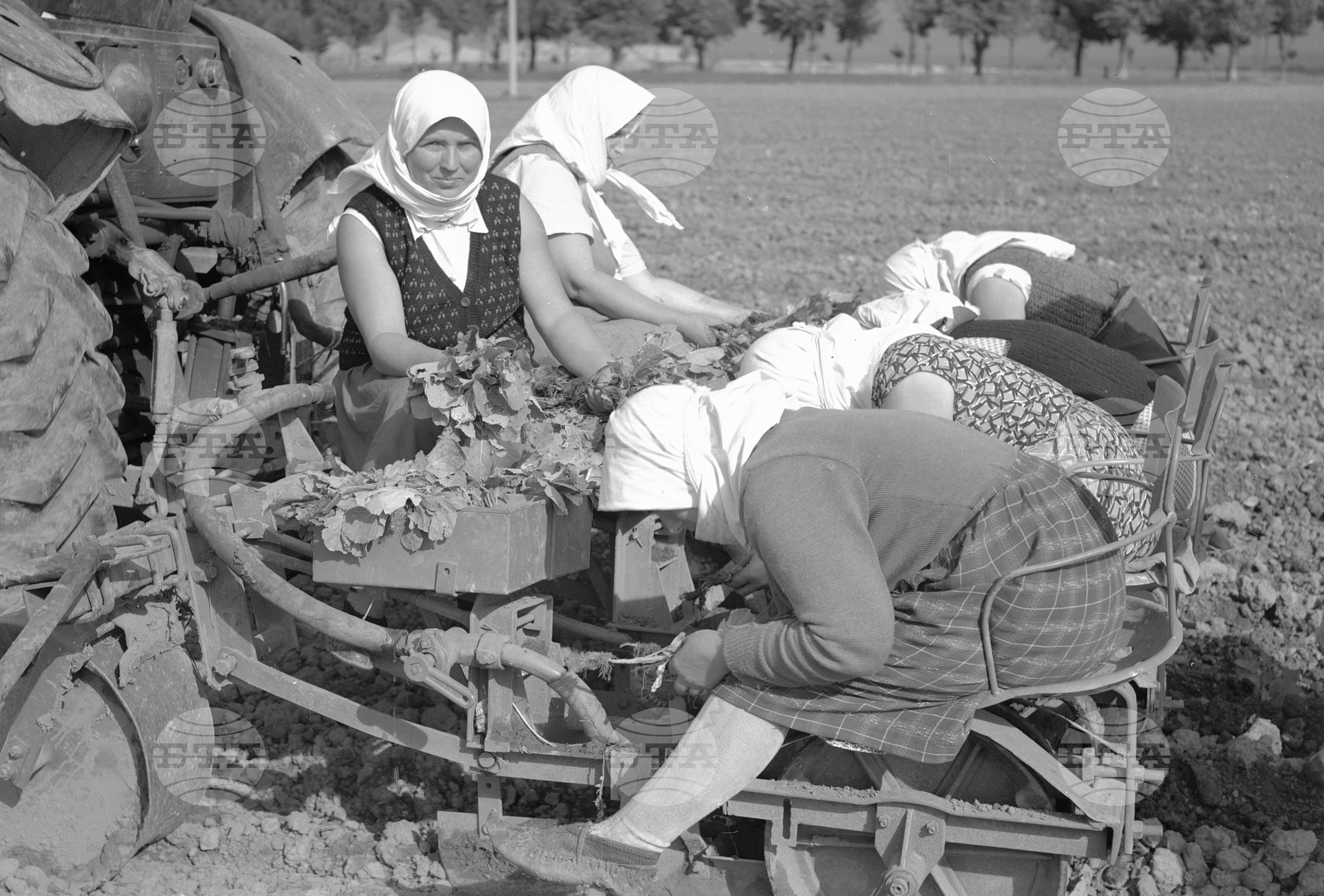Техника в помощ на селското стопанство - 1963