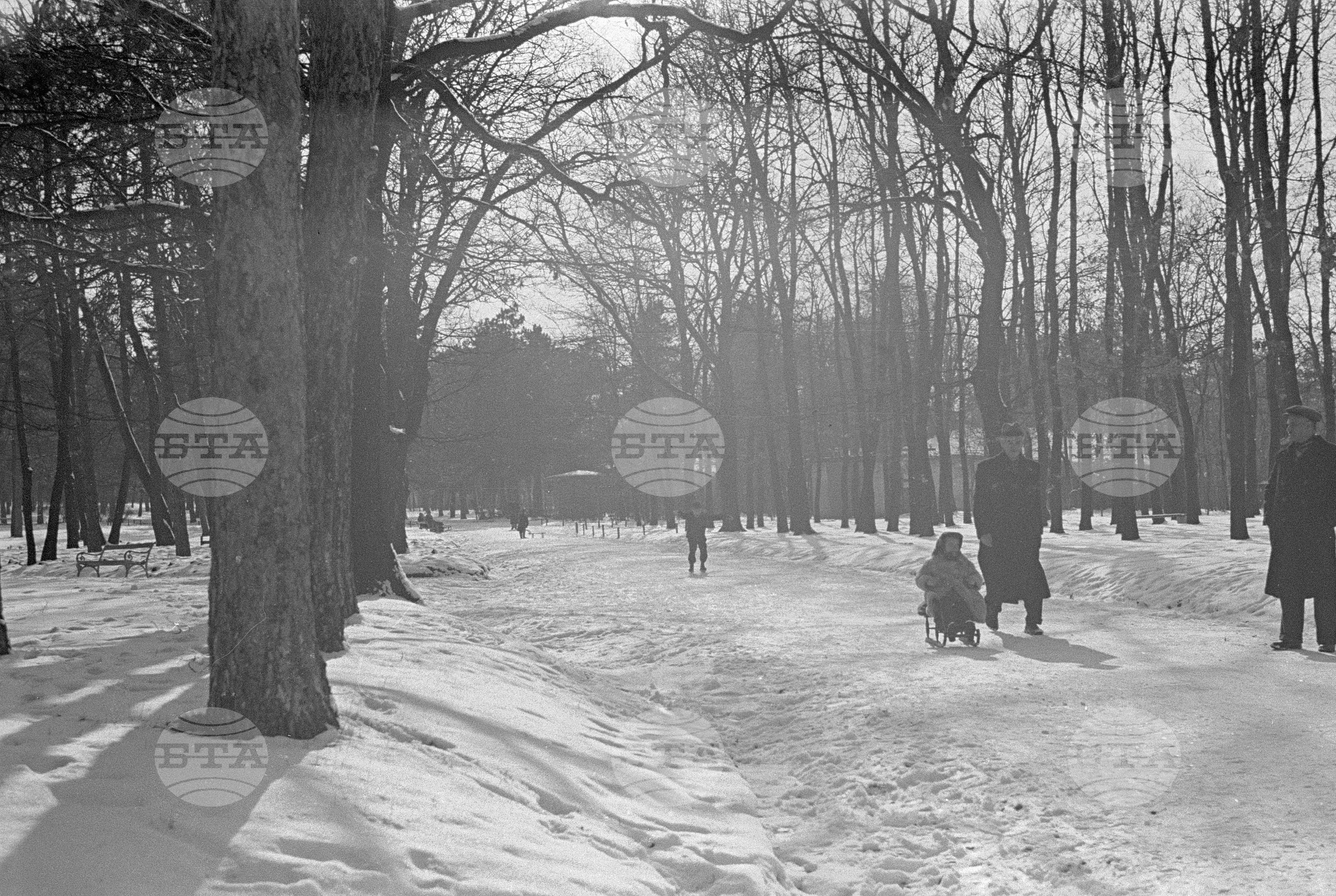 Зимни пейзажи от Парка на свободата в София - 1953 година