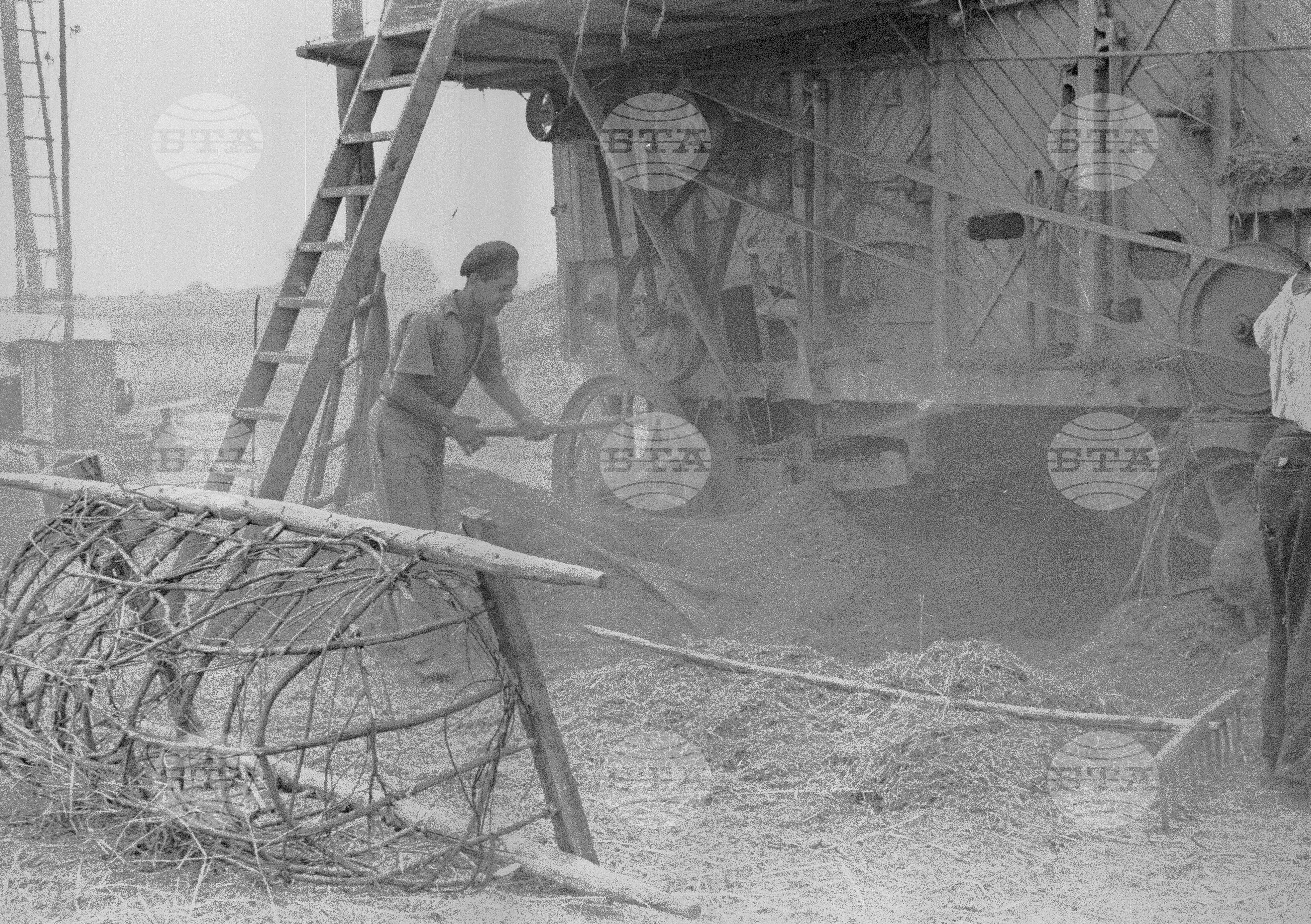 Откриване на гимназията в Перущица, 1951