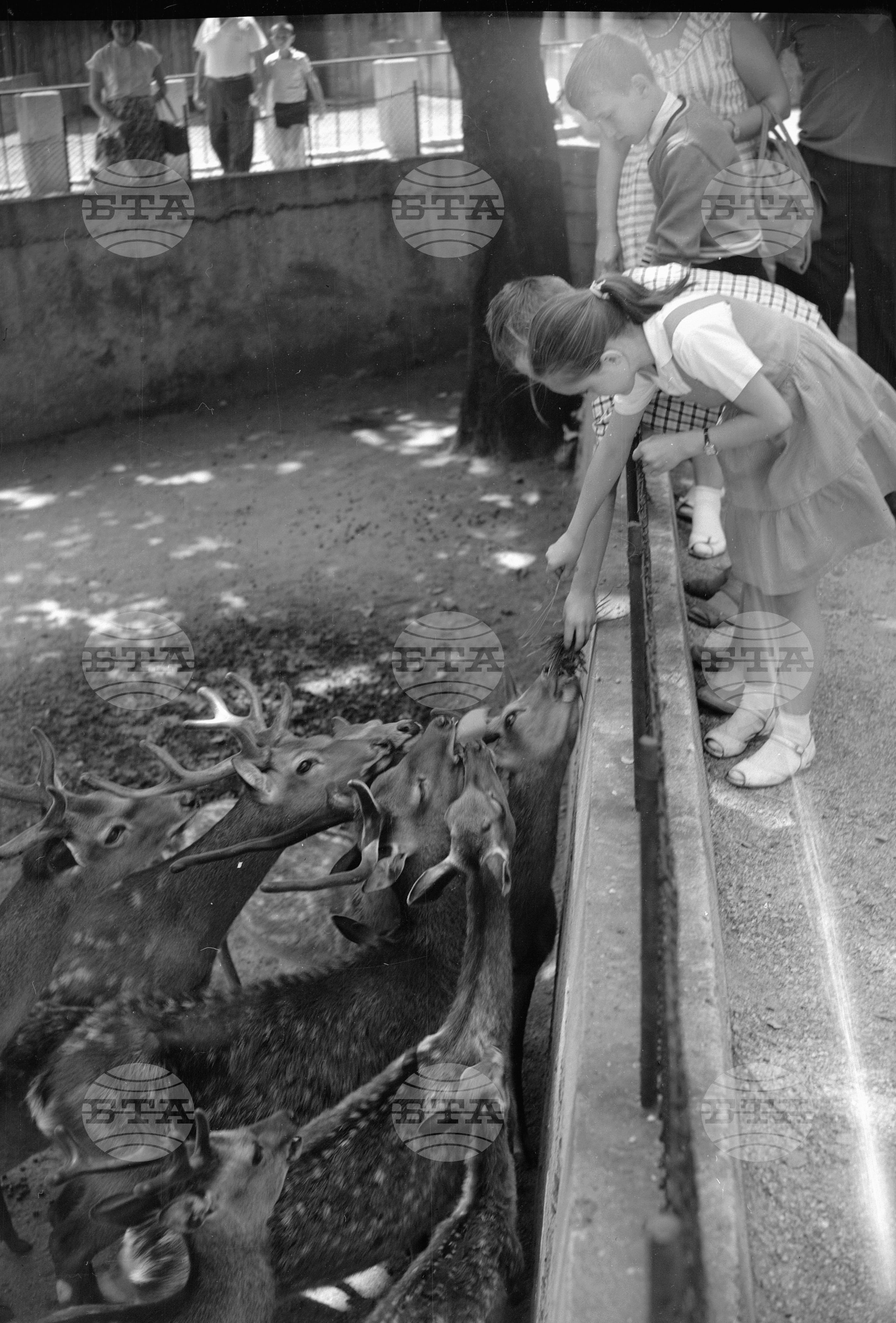 Зоологическа градина София - 1962 година