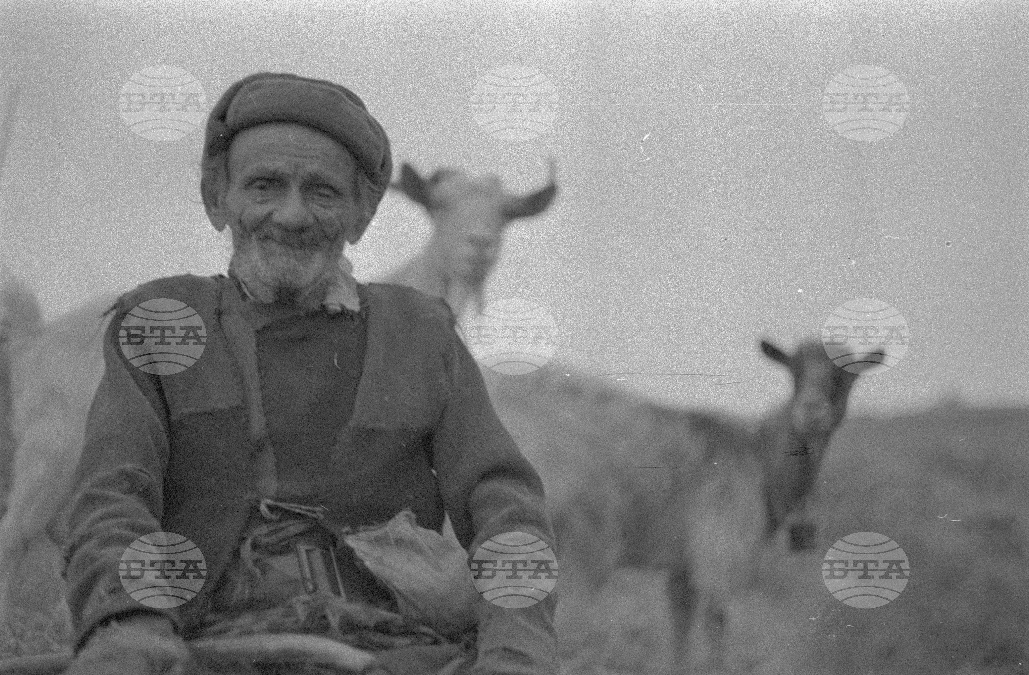 Огражден планина