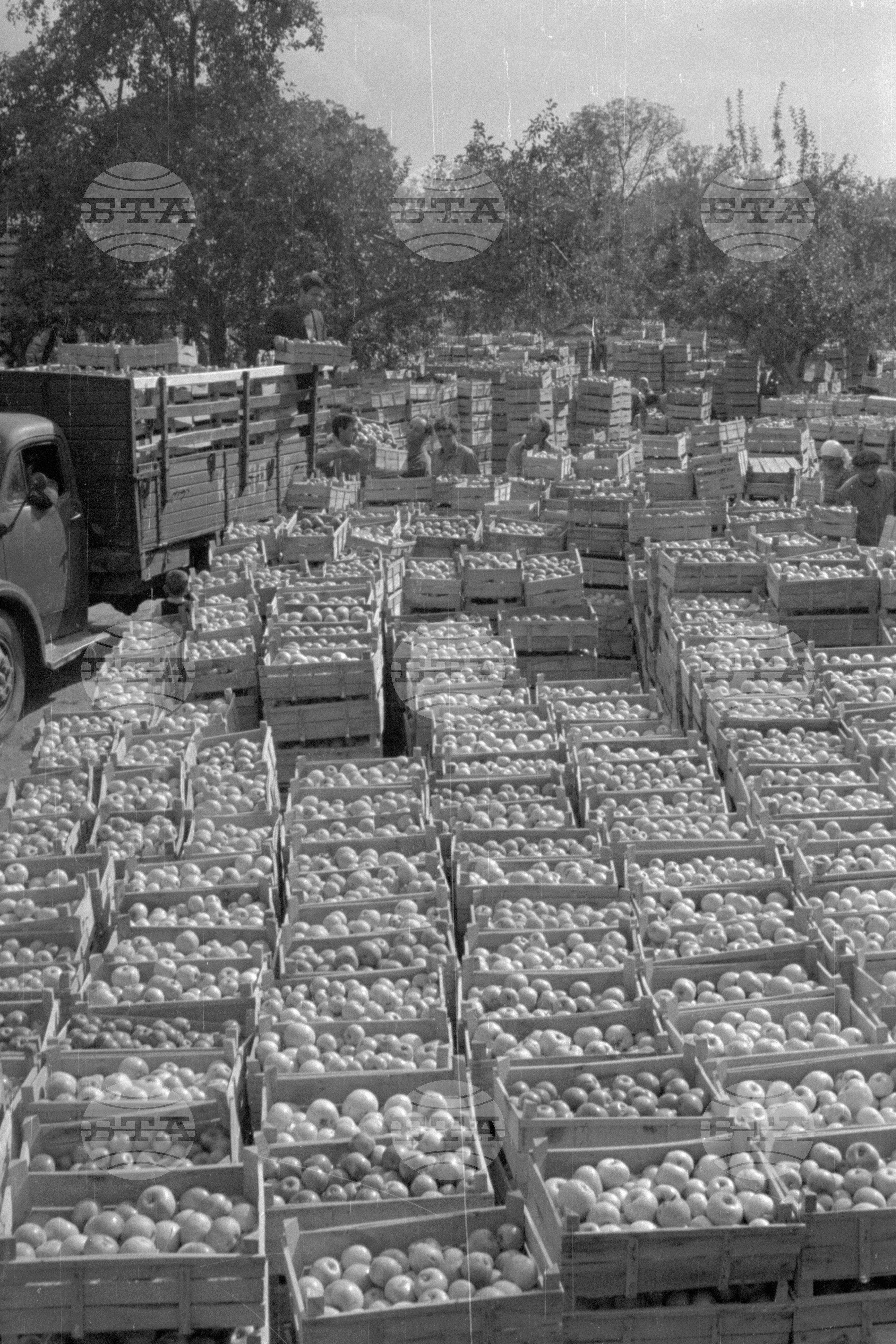 Из Кюстендилски окръг - септември 1962 година
