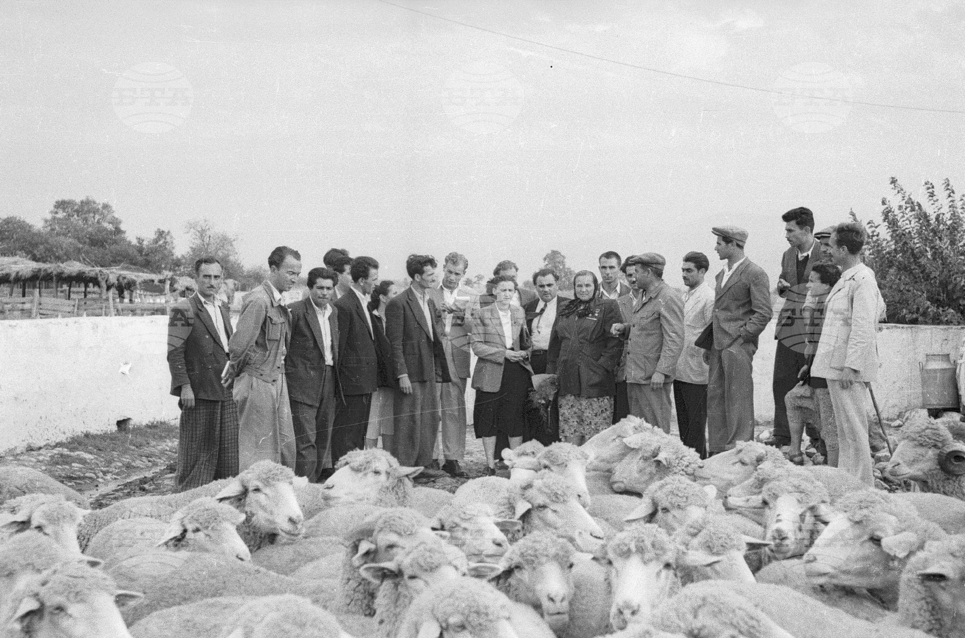 Съветските гости по време на месеца на Съветската дружба, 1951 година - Чекирьов, Скрябин и други