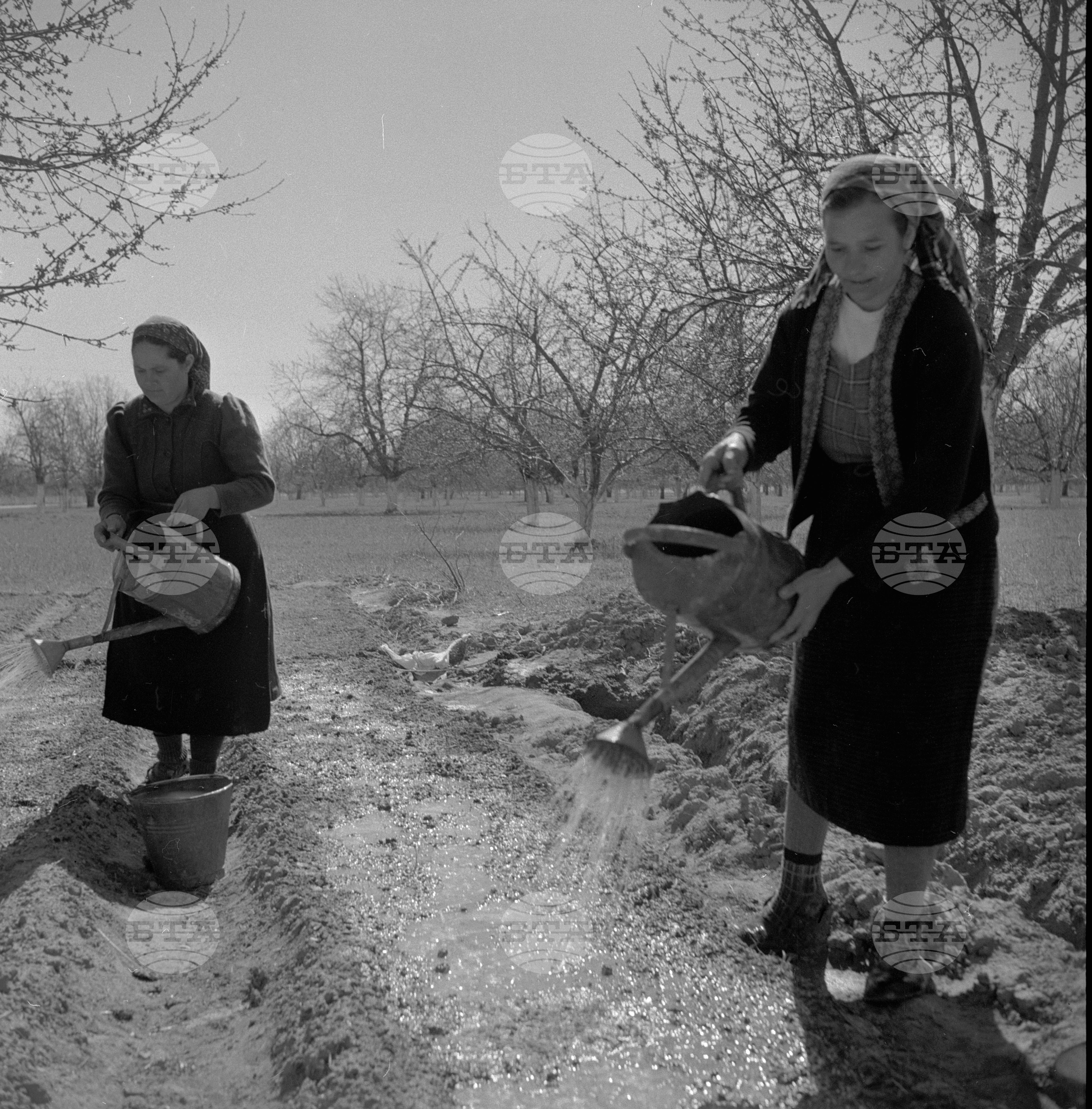 ТКЗС "Благо Кръстев" - село Динката, Пазарджишки окръг