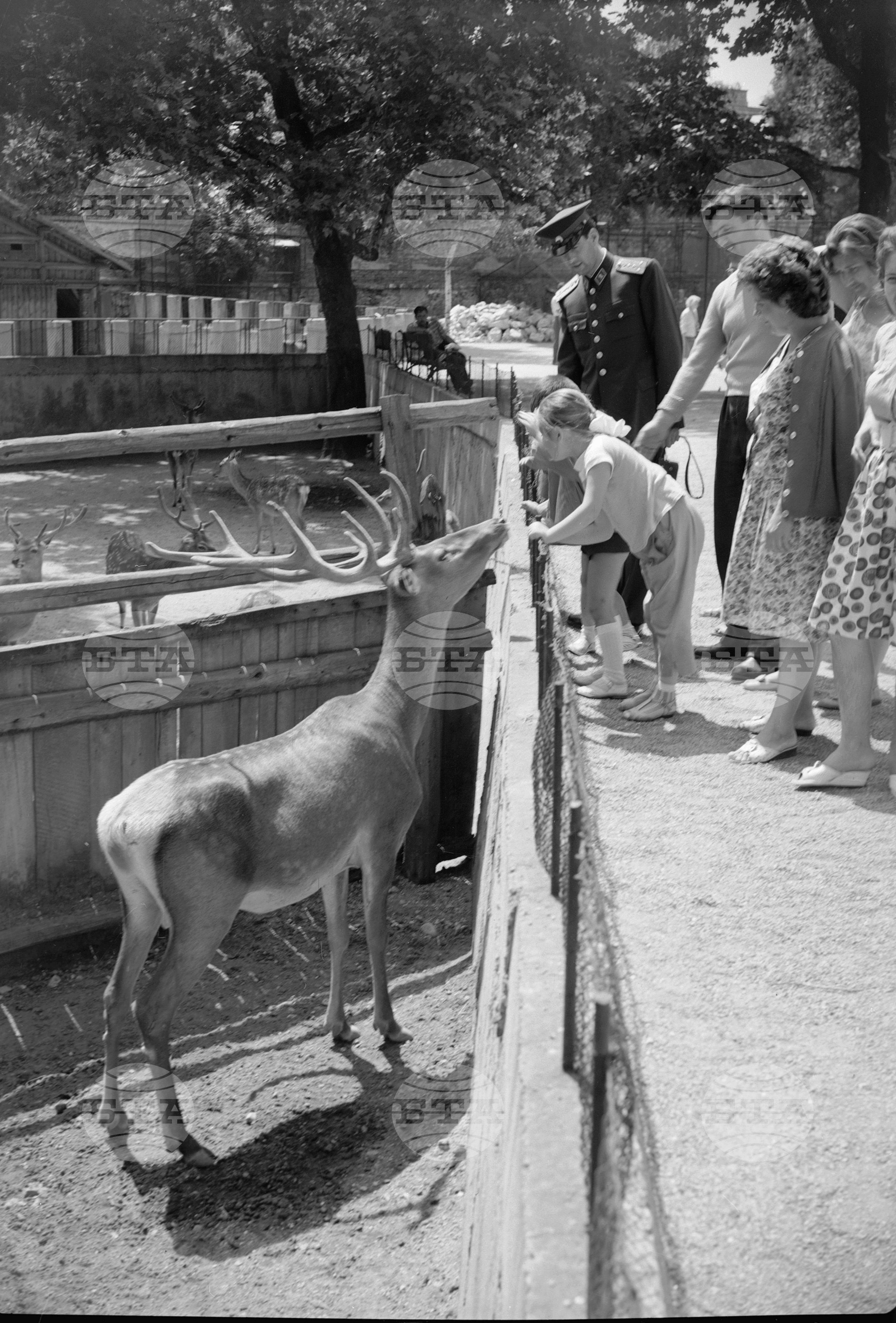 Зоологическа градина София - 1962 година