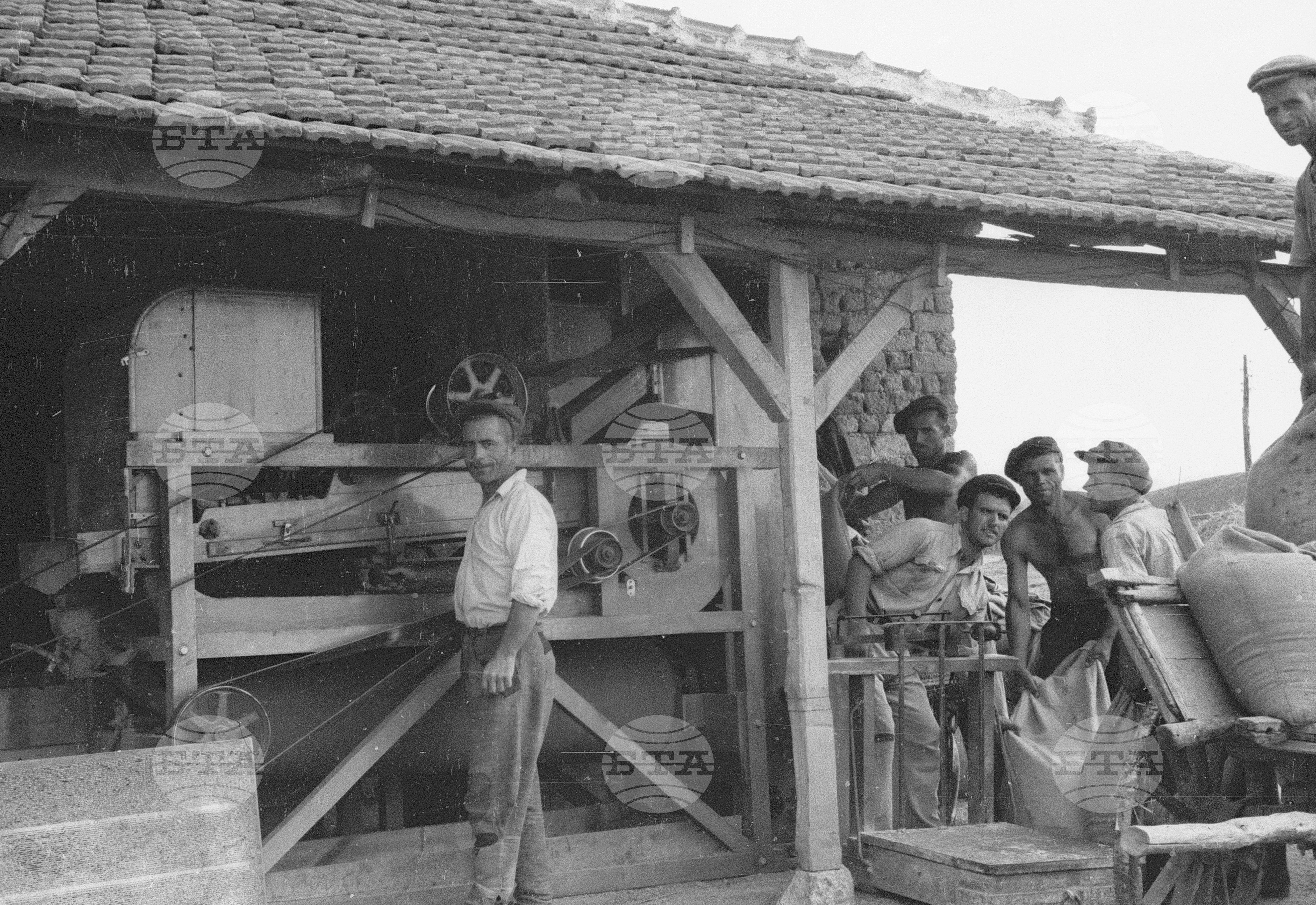 Трудово кооперативно земеделско сдружение (ТКЗС) Сухозем, 1951