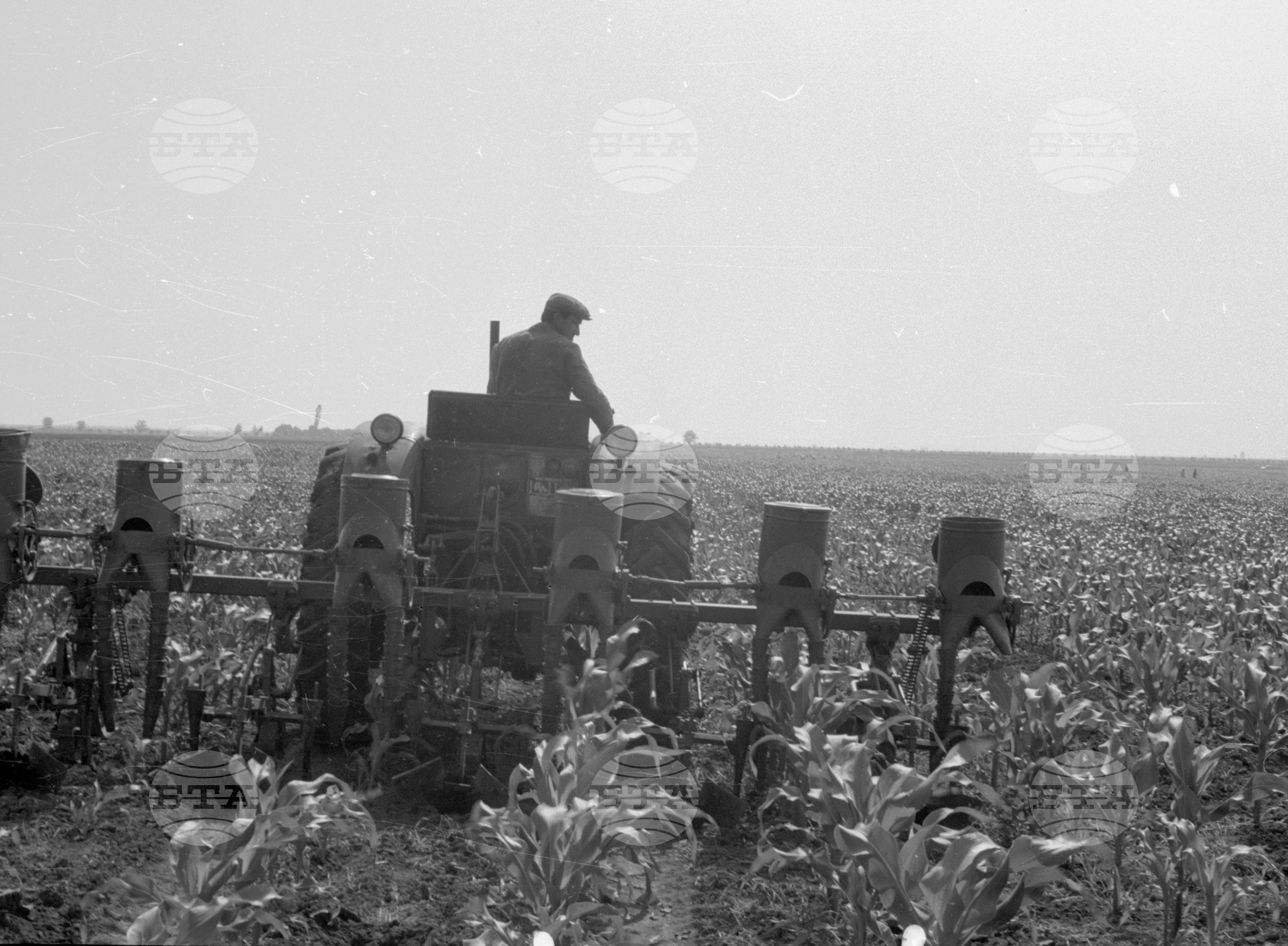 Снимки от Видински окръг - 1963