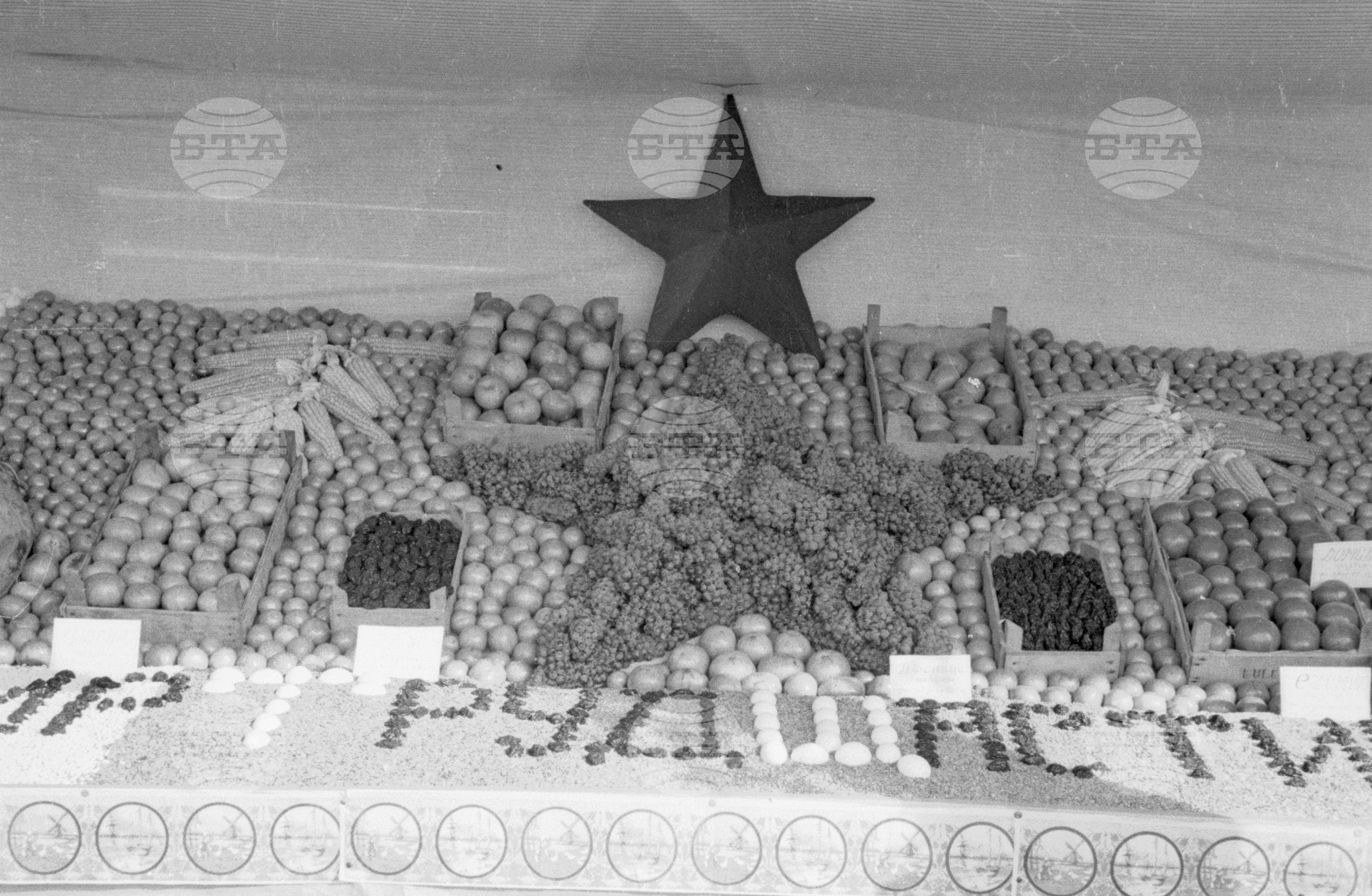 Селскостопанска изложба в Левскиград (дн. Карлово), 1951