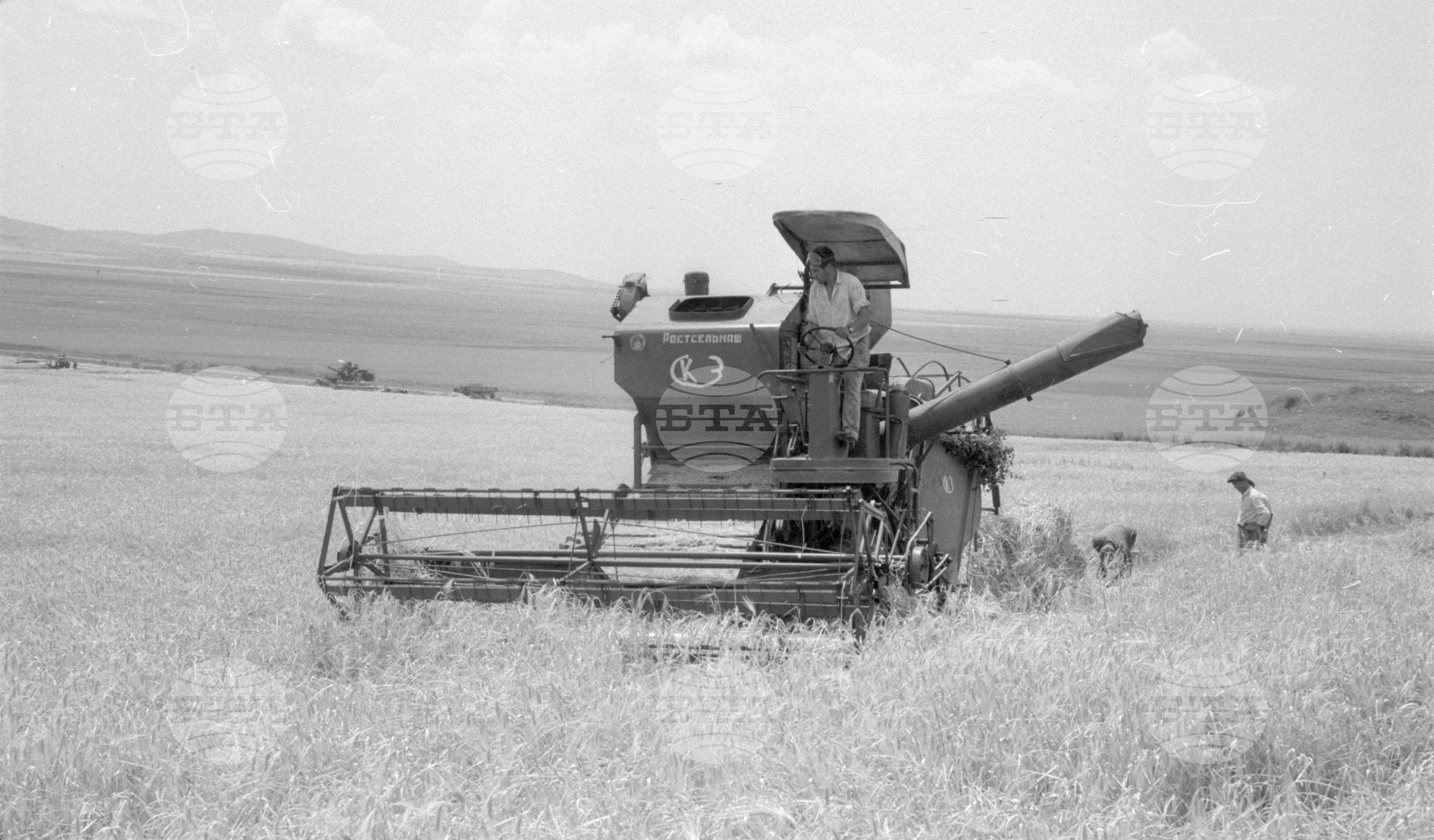 Жътва 1963 година