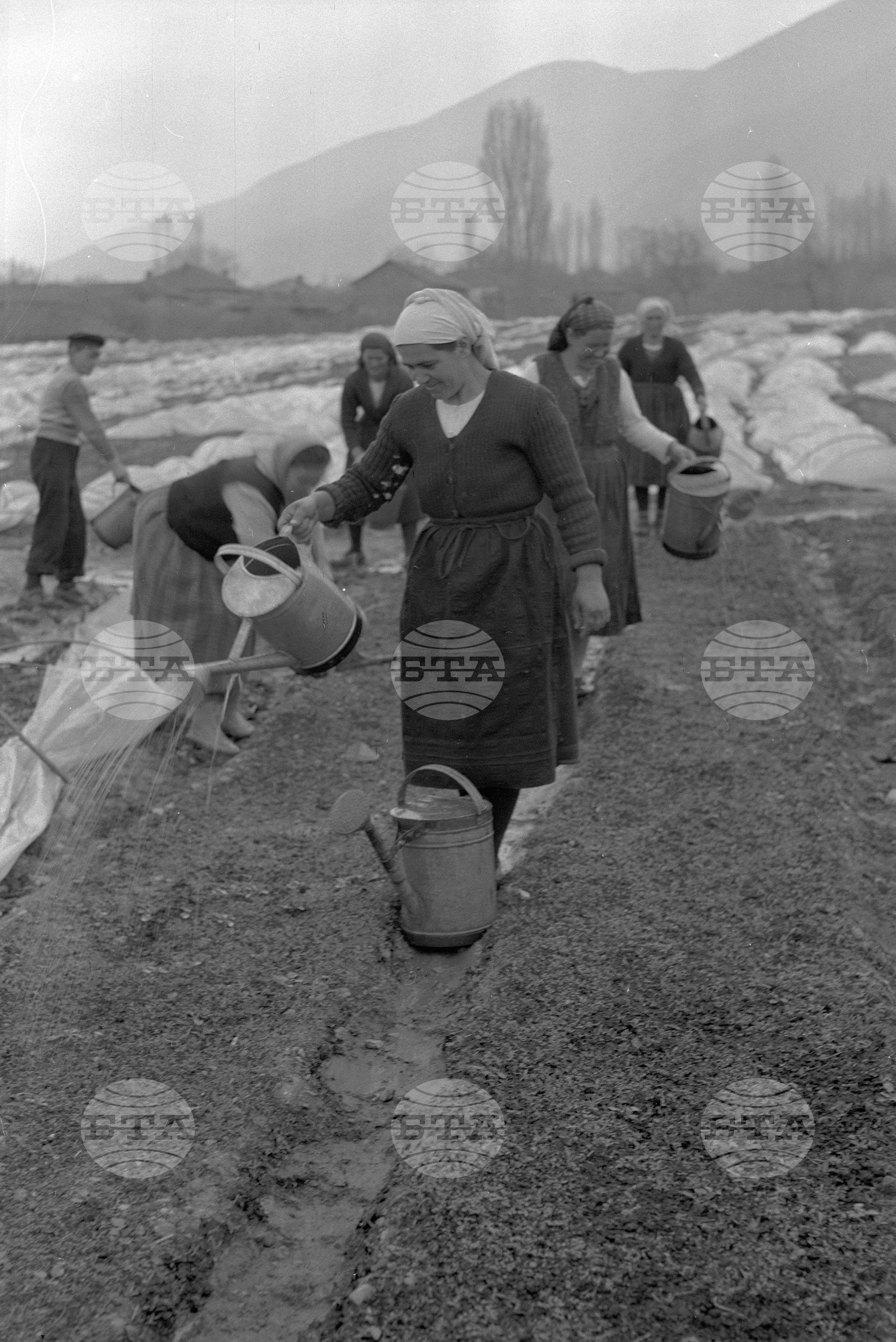 ТКЗС (Трудово-кооперативно земеделско стопанство) - село Ресилово, Кюстендилски окръг