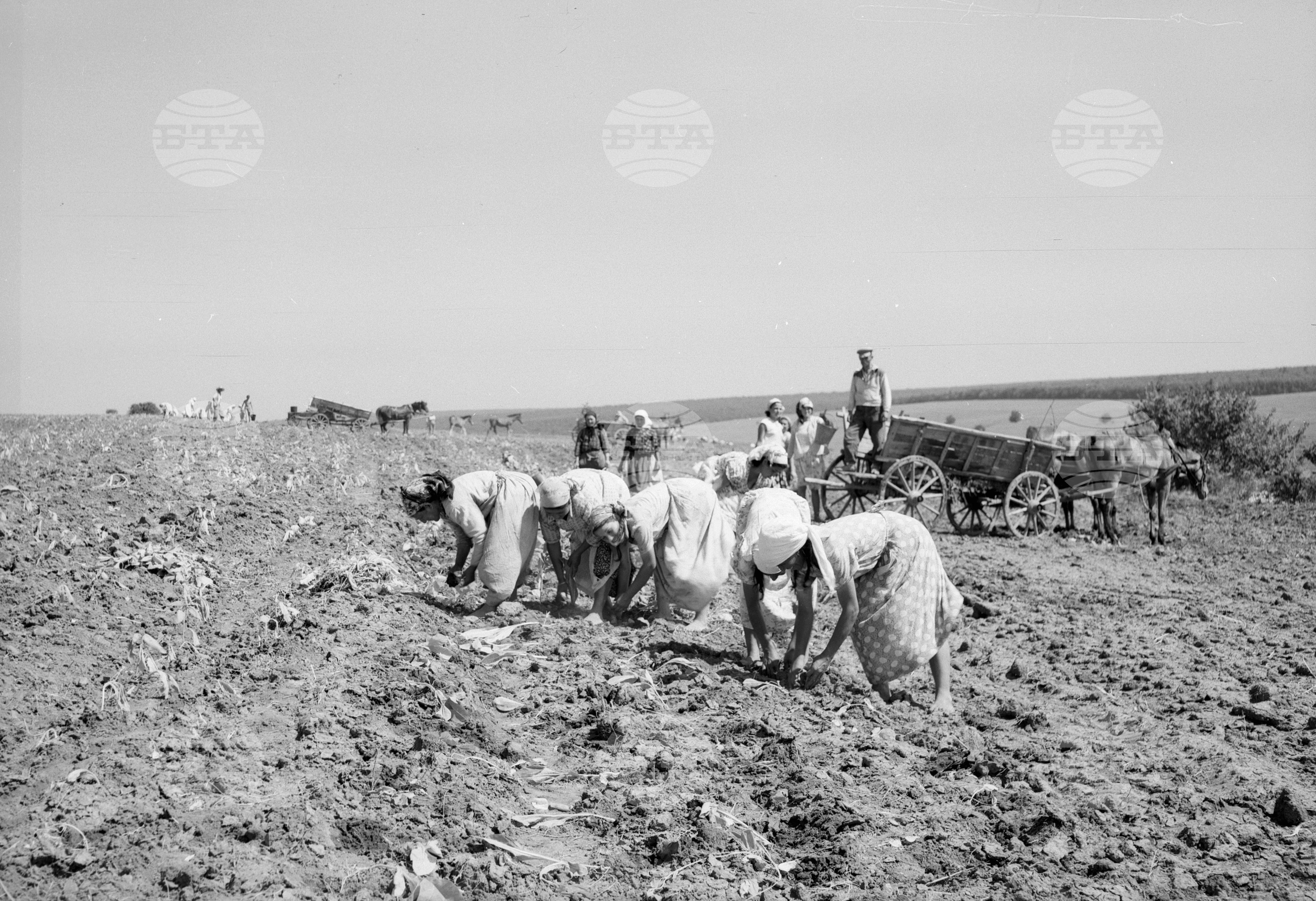 Из Разградски окръг - 1963