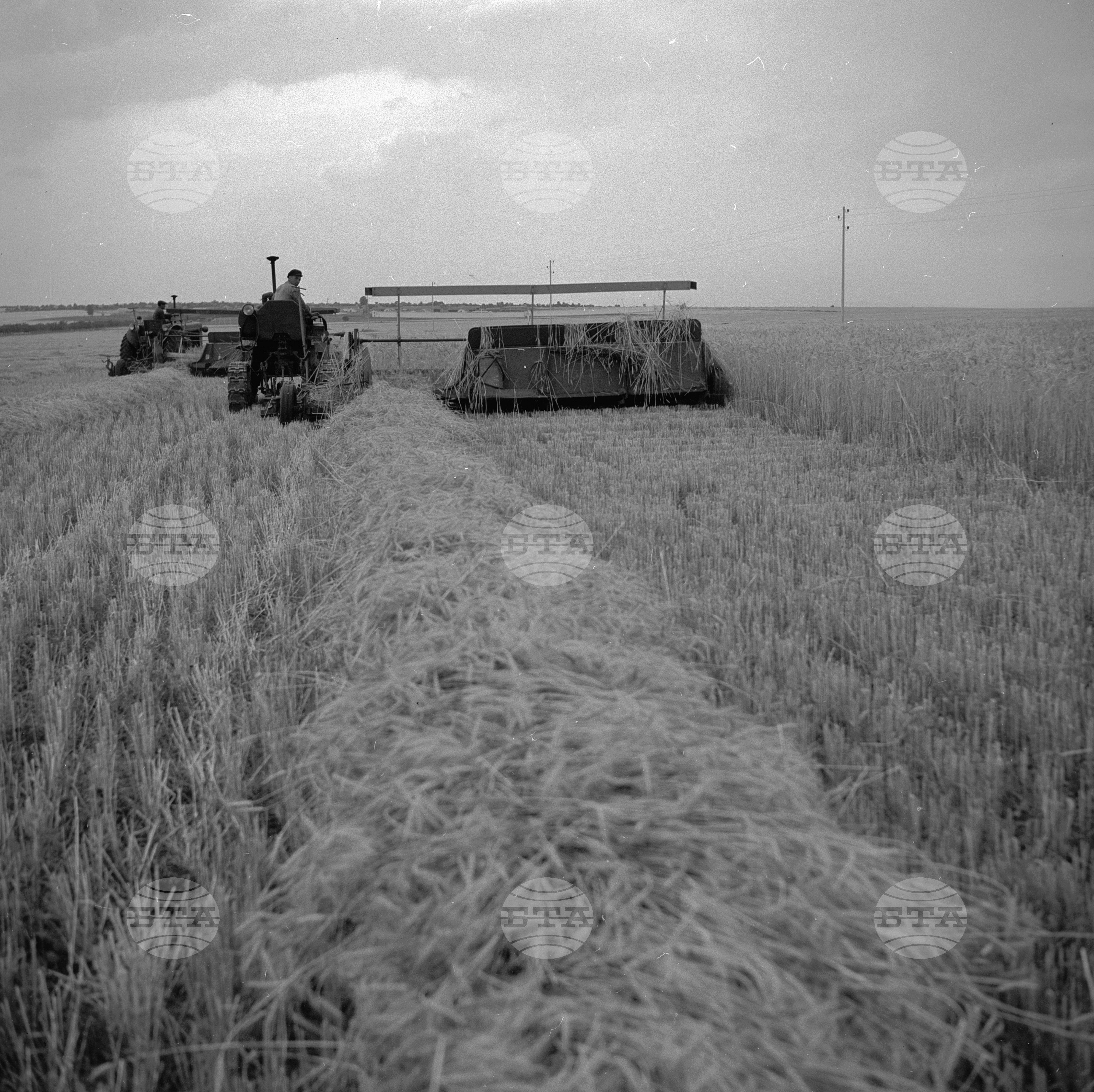 Жътвени дни в село Искра, Бургаски окръг