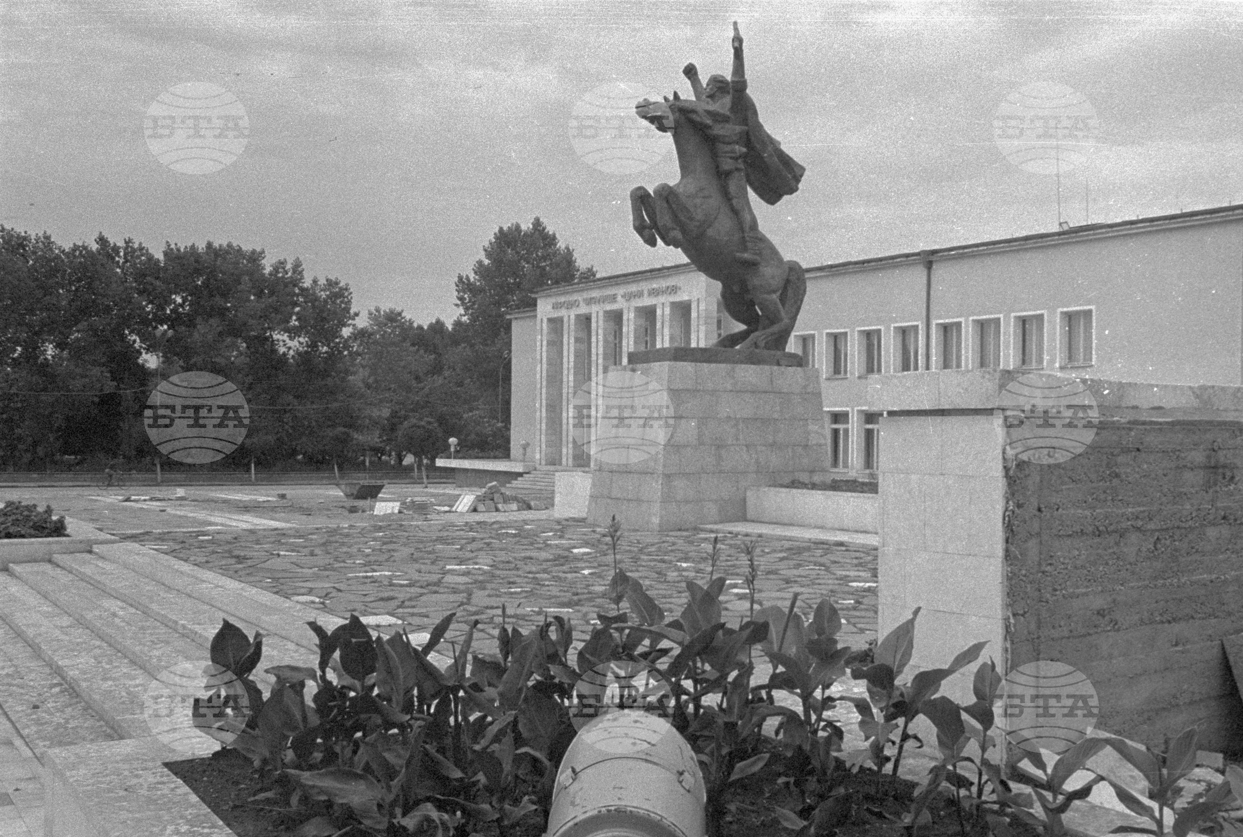 В центъра на село Борован