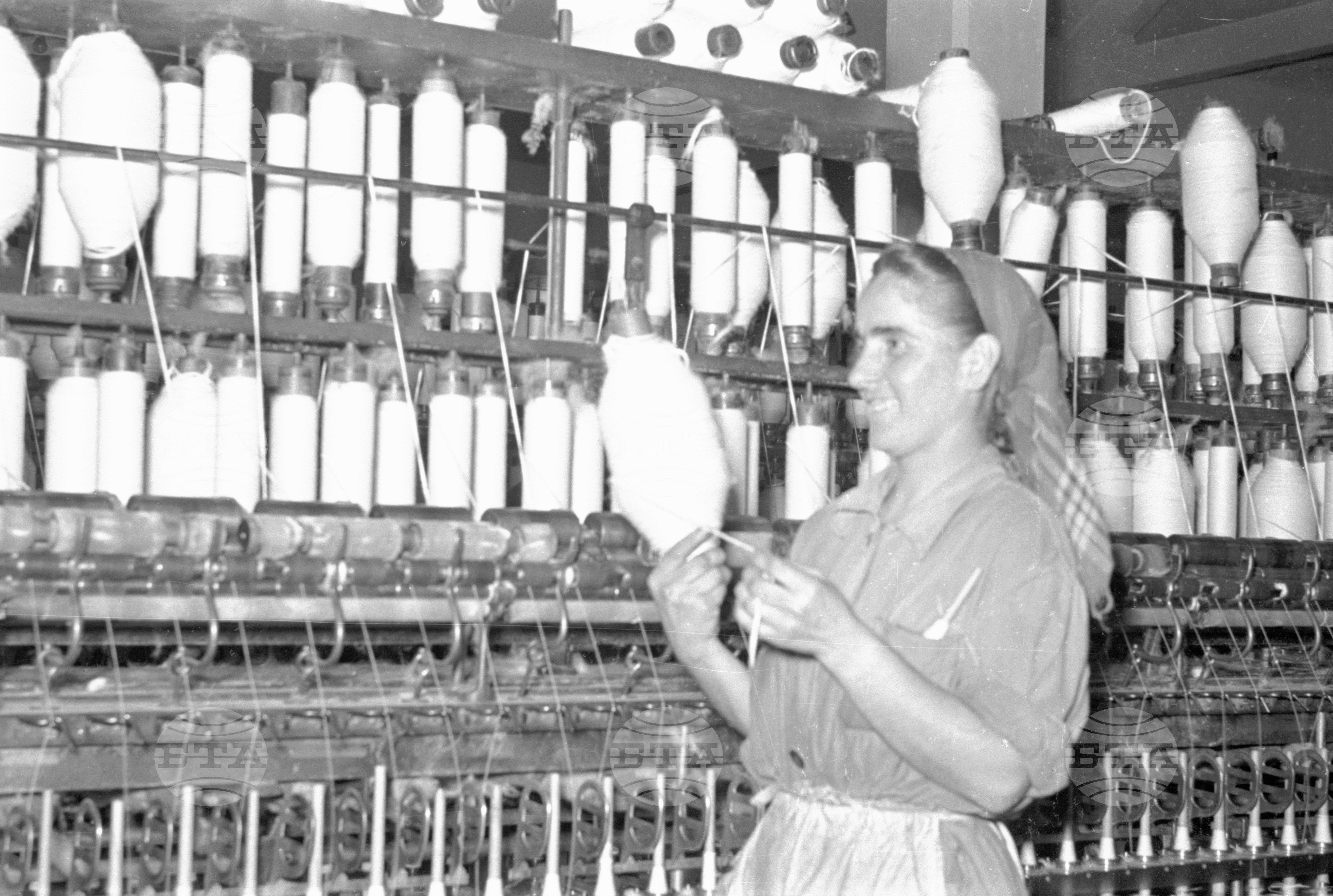 Предачна фабрика „България" - 1953 година